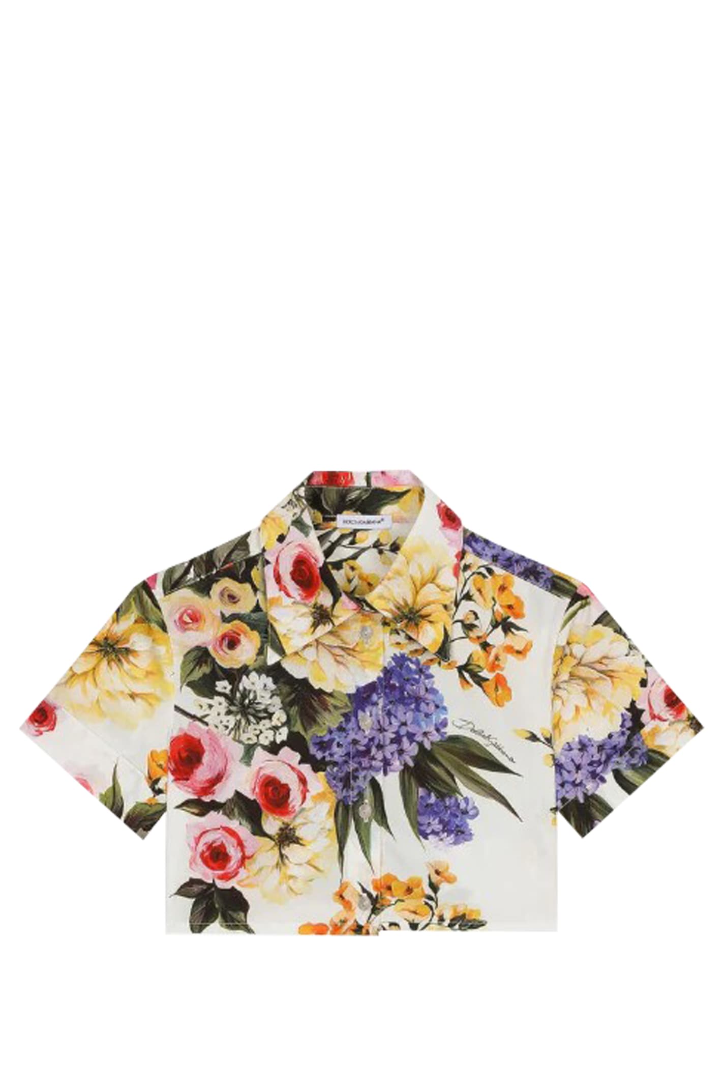Shop Dolce & Gabbana Poplin Shirt With Garden Print In Multicolor