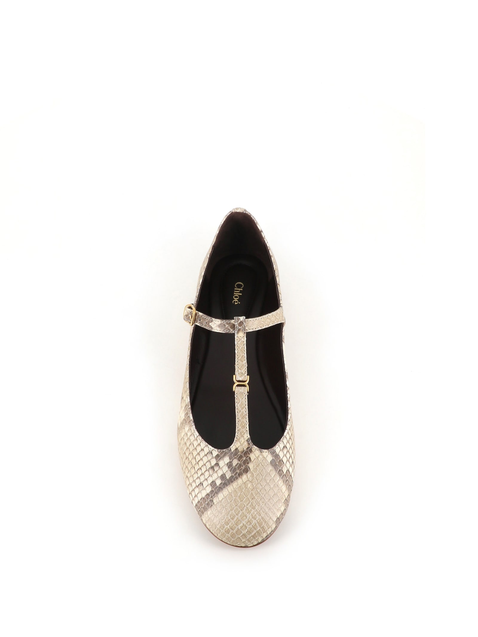 Shop Chloé Ballerina Marcie In Pitone Beige