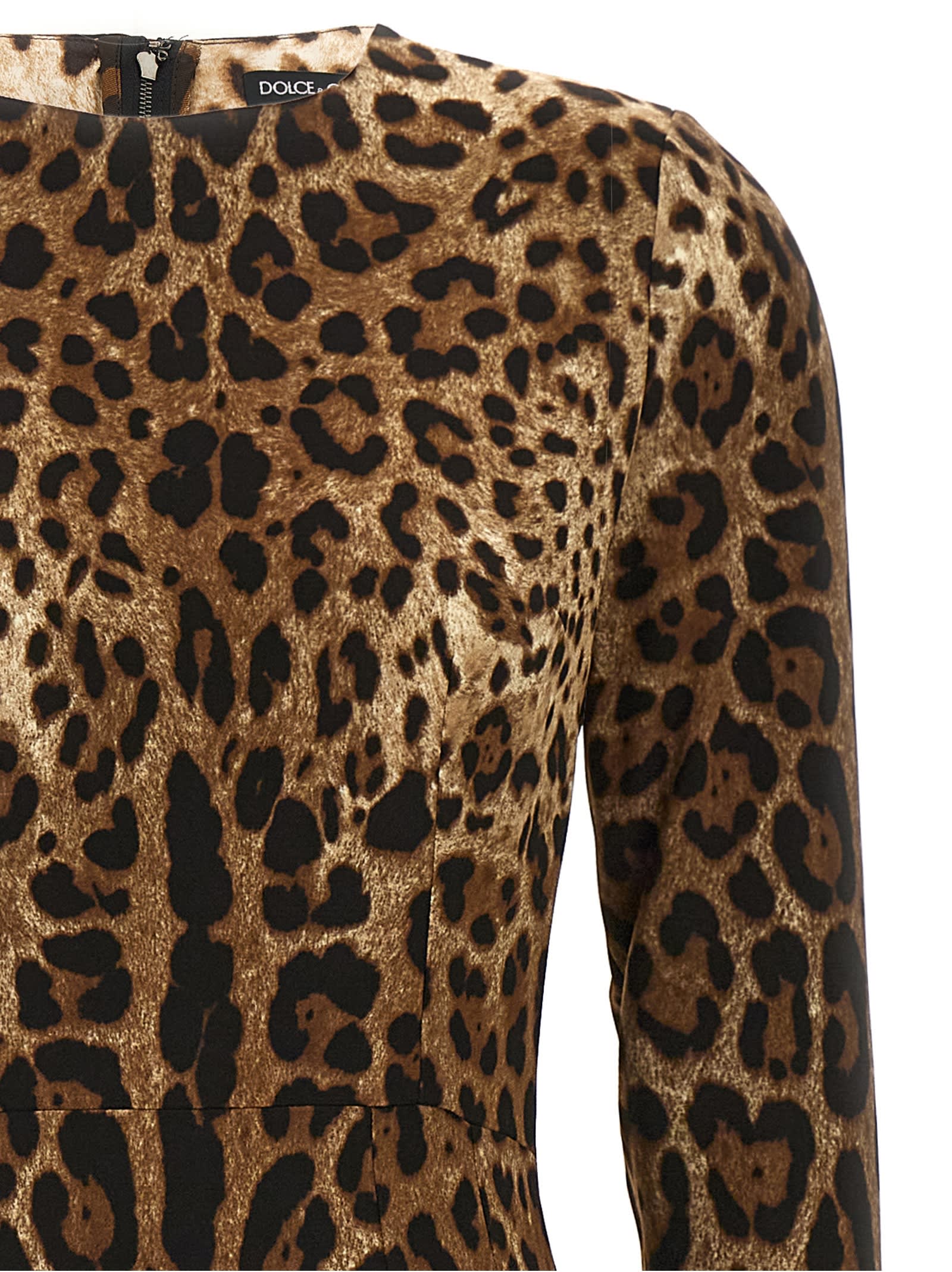 Shop Dolce & Gabbana Leopard Dress In Brown