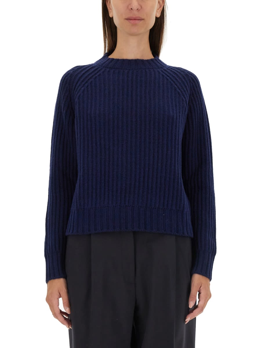 Wool Jersey.