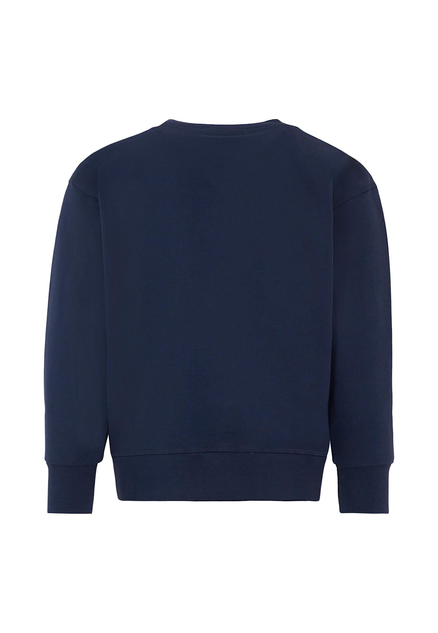 Dsquared2 Blue Sweatshirt For Boy With Maple Leaf In Blue