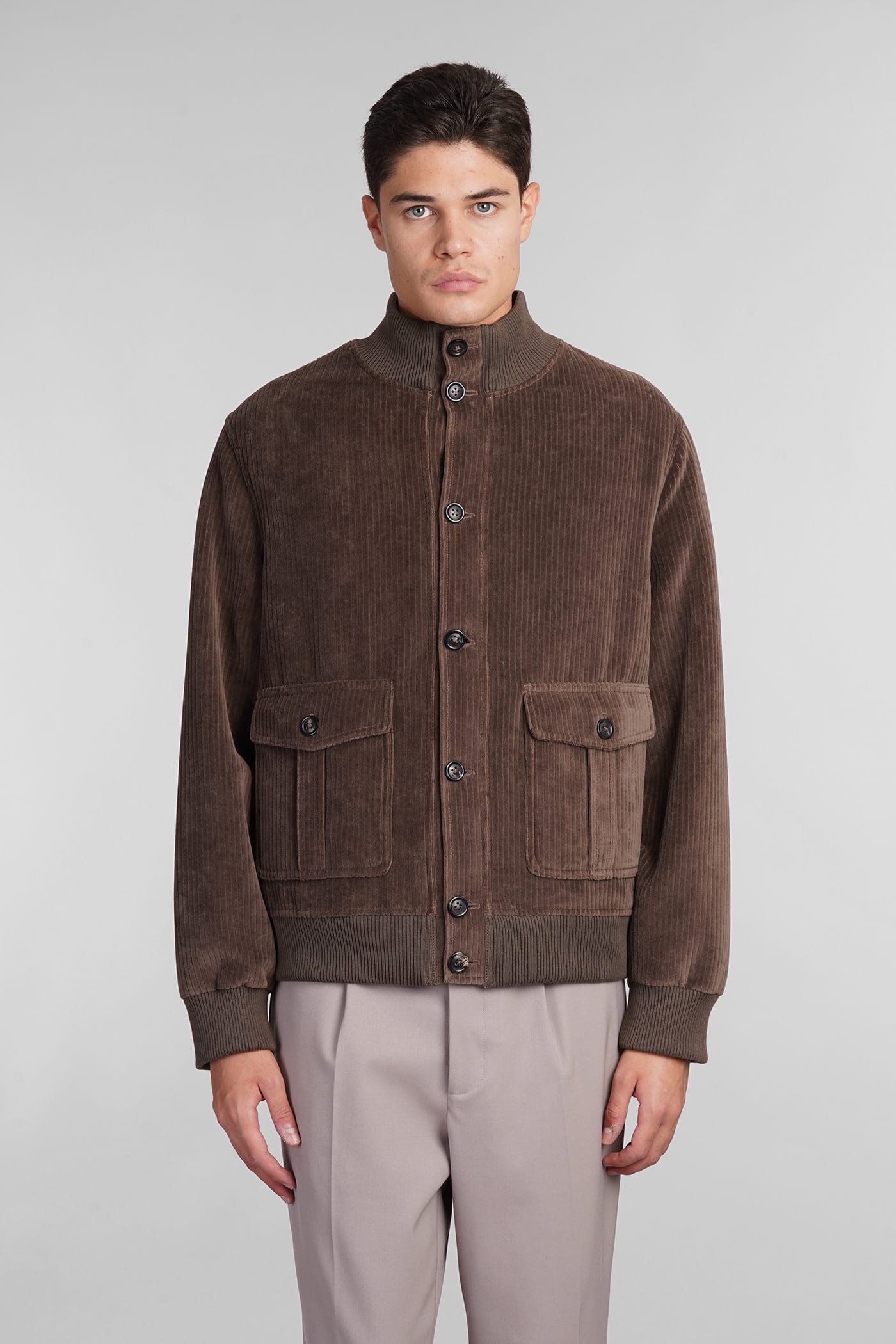 Shop Circolo 1901 Bomber In Brown Cotton