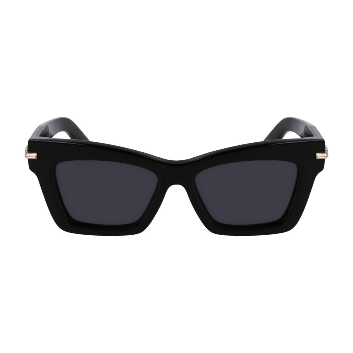 Salvatore Ferragamo Sf2031s 001 Black Sunglasses