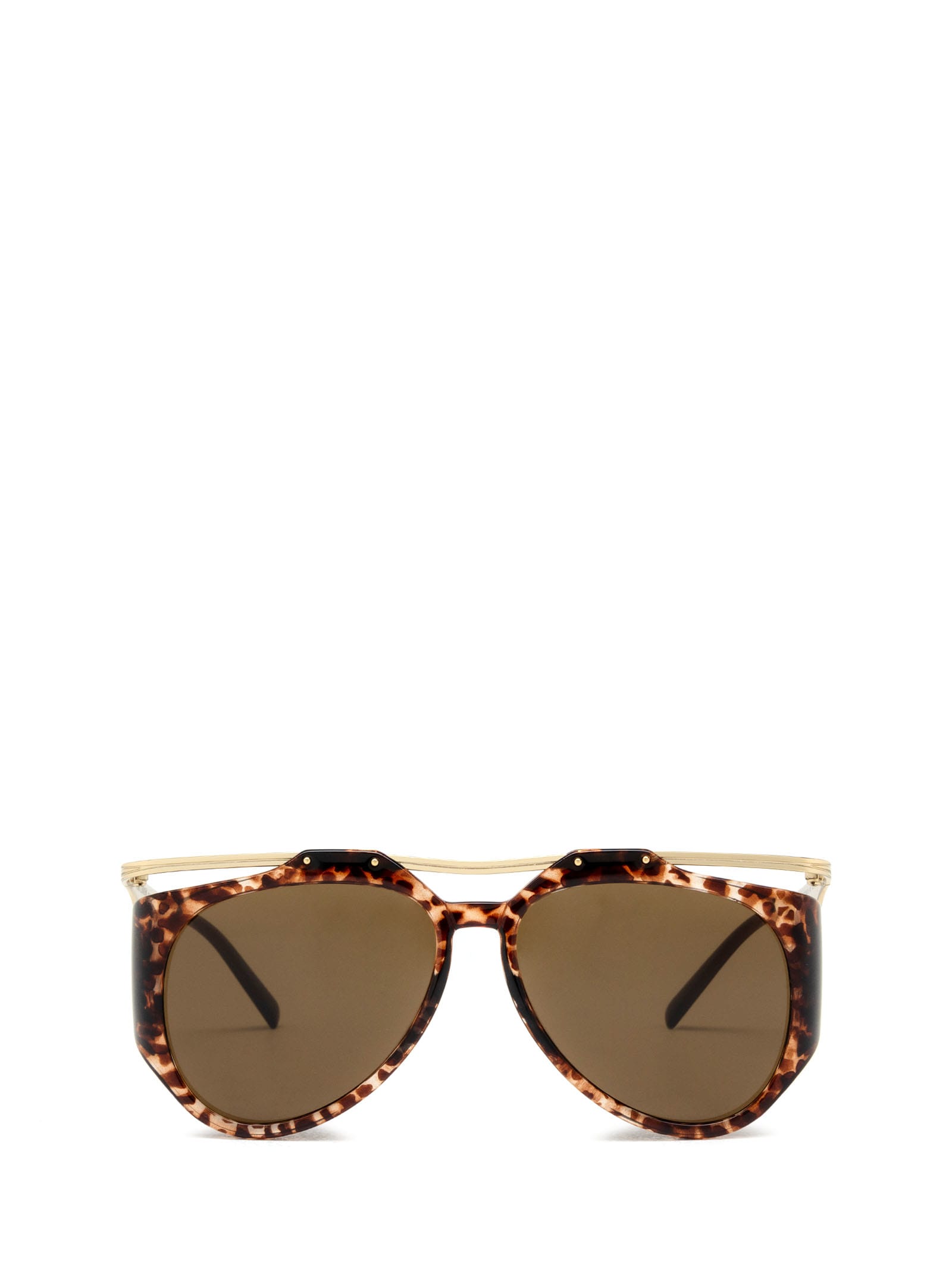 Saint Laurent Sl M137 Havana Sunglasses