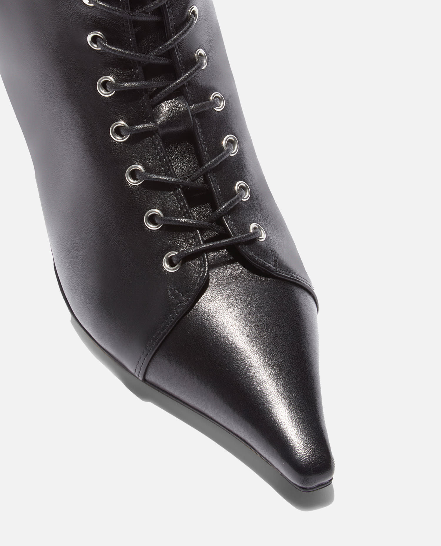 Aeyde 40mm Trixi Lace-up Pointed-toe Boots In Black