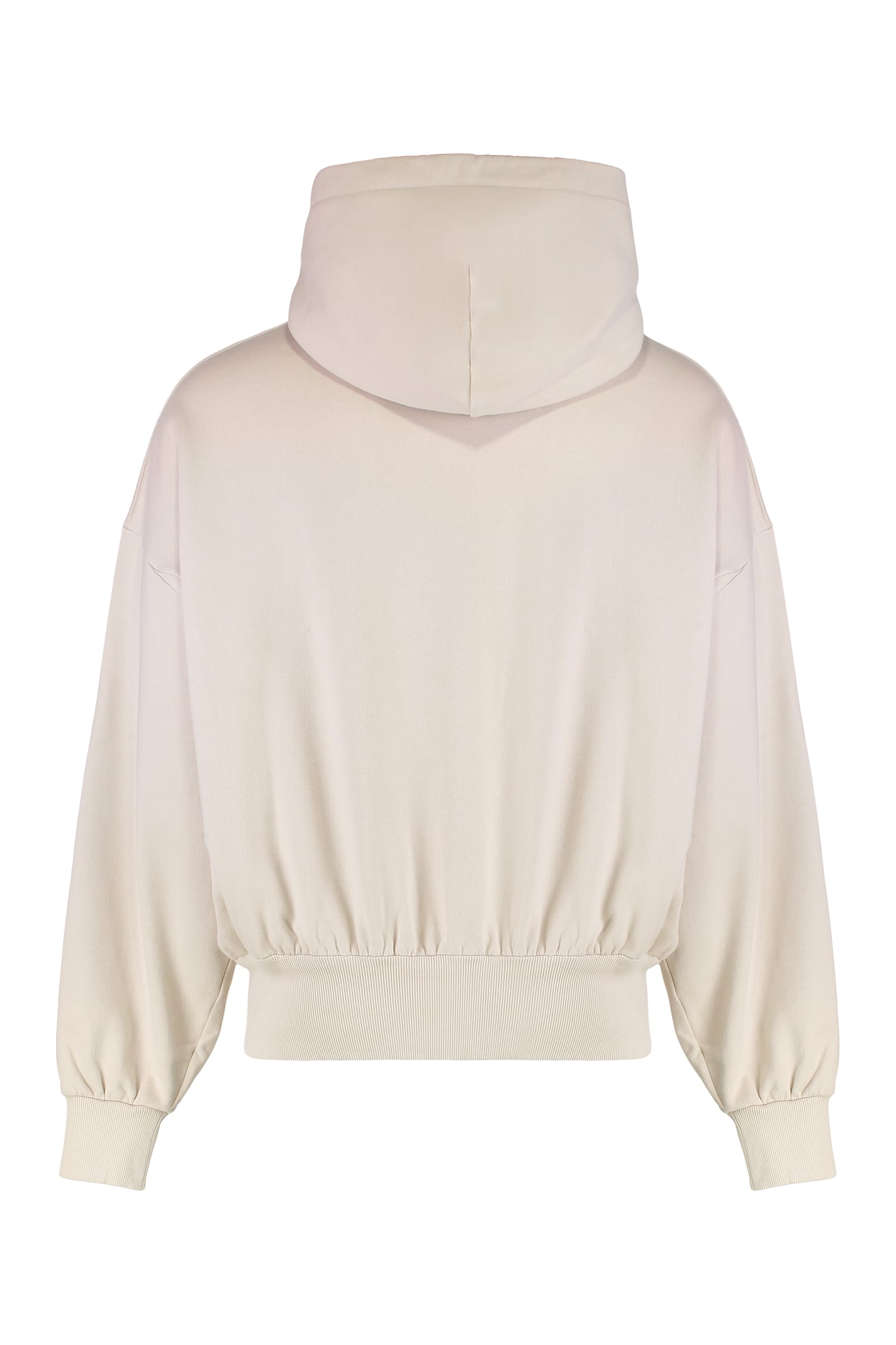 Dolce & Gabbana Hooded Sweatshirt In Jersey With Print In Neutral