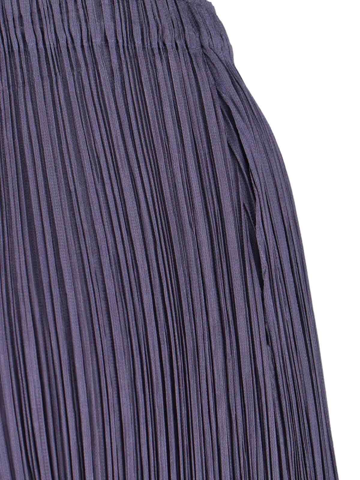 Issey Miyake Pleated Pants In Gray
