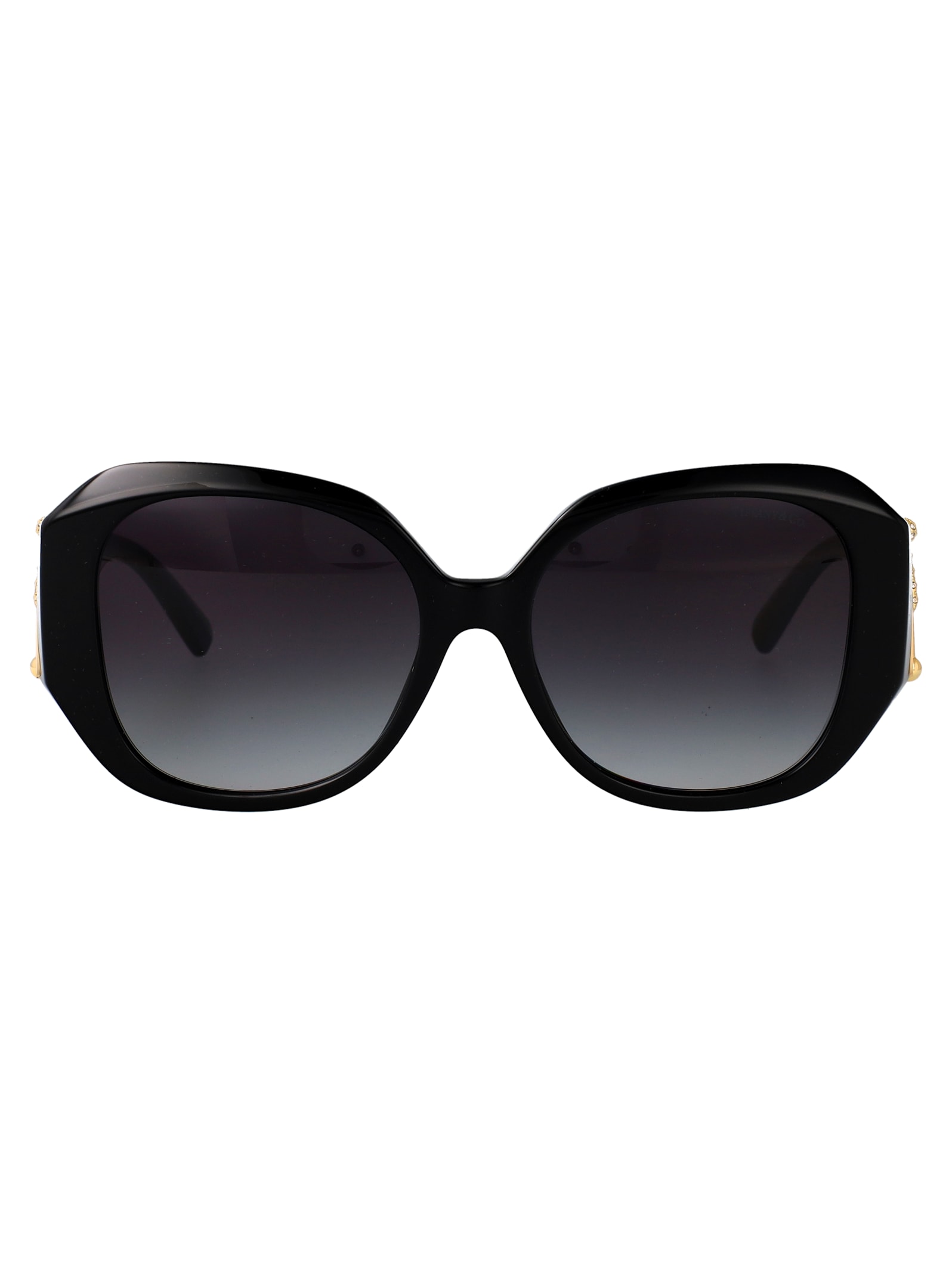 0tf4207b Sunglasses