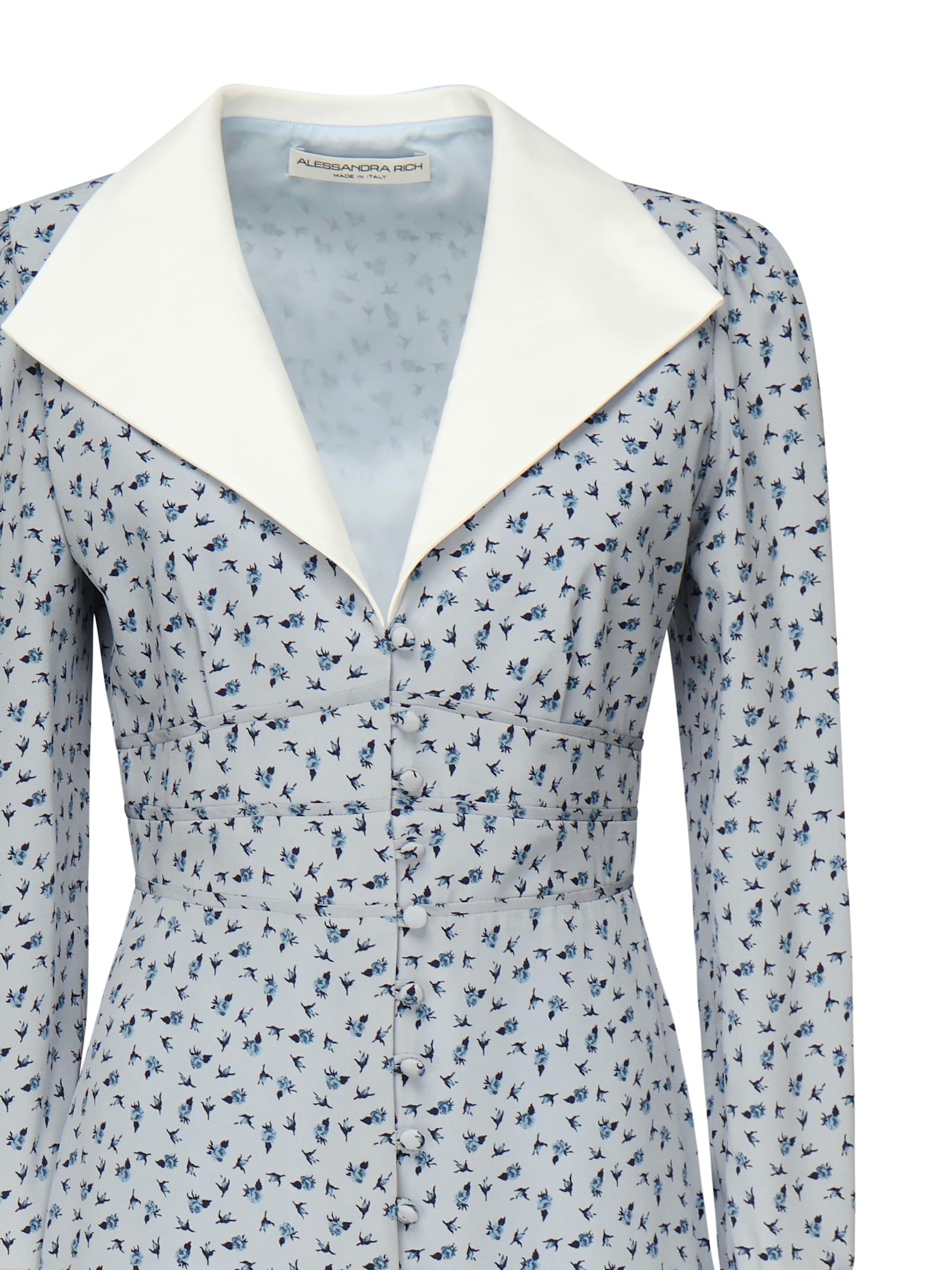 Alessandra Rich Printed Dress With Roses In Pale Blue