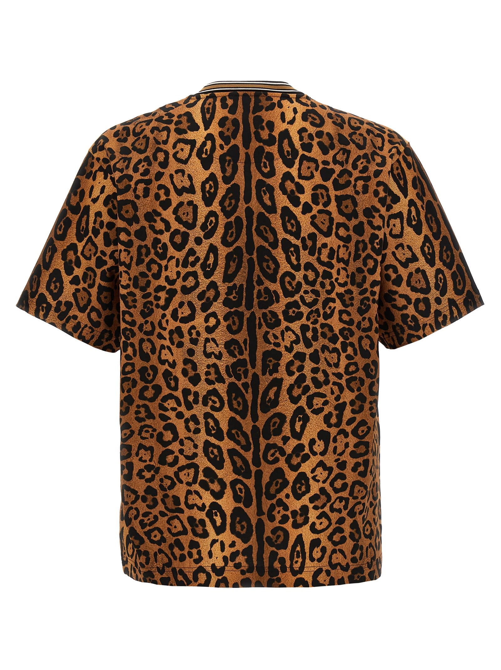 Shop Dolce & Gabbana Leopard Print T-shirt In Brown