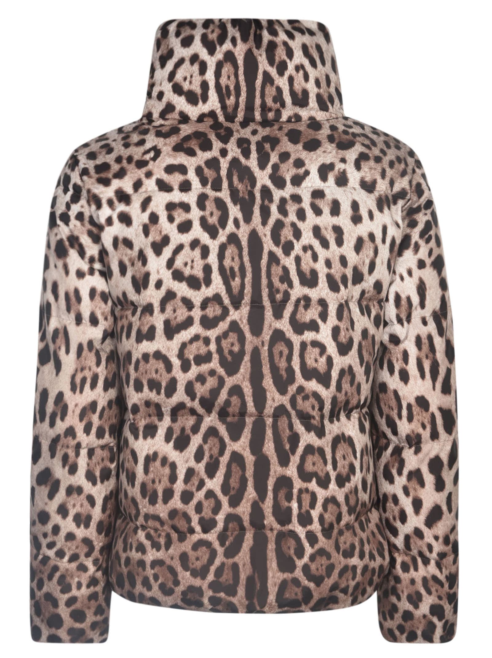 Shop Dolce & Gabbana Animal Print Zip High Neck Padded Jacket In Leo New