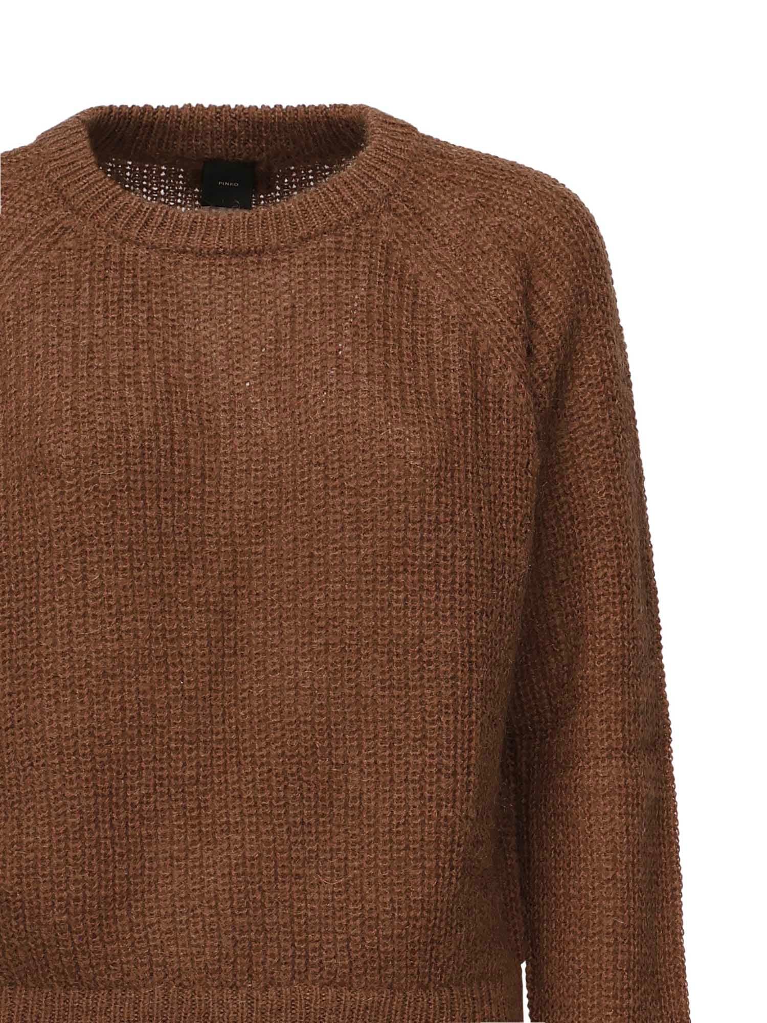 Pinko Crew-neck Long-sleeve Sweater In Brown