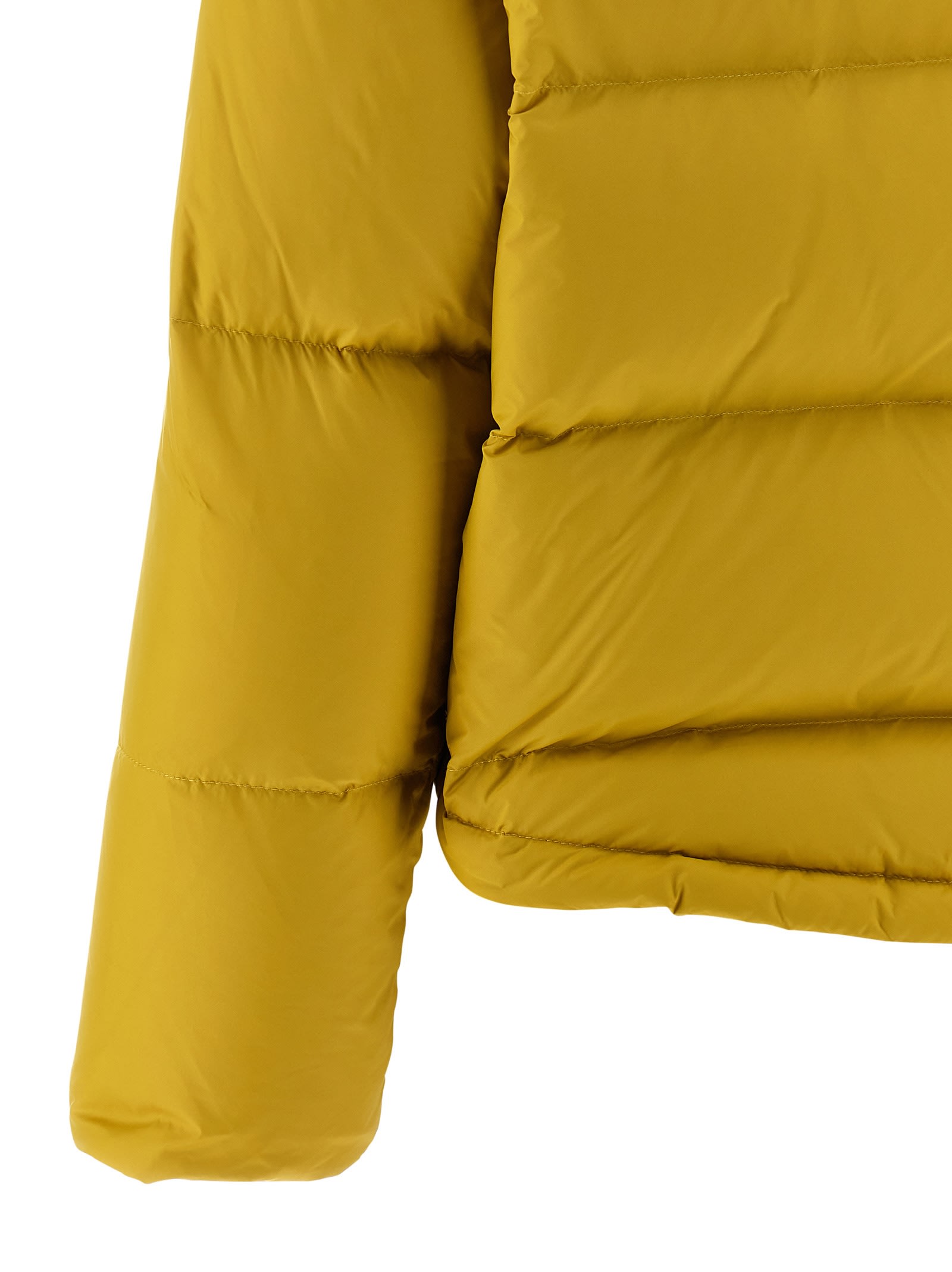 Salomon Fur Insert Down Jacket In Yellow