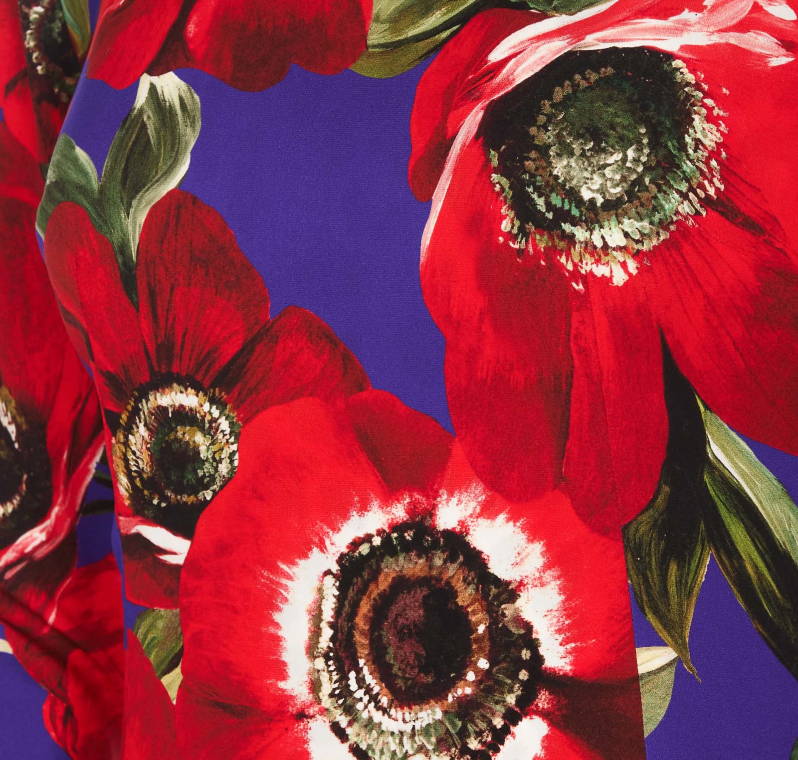 Dolce & Gabbana Anemone Print Sheath Dress In Multicolor