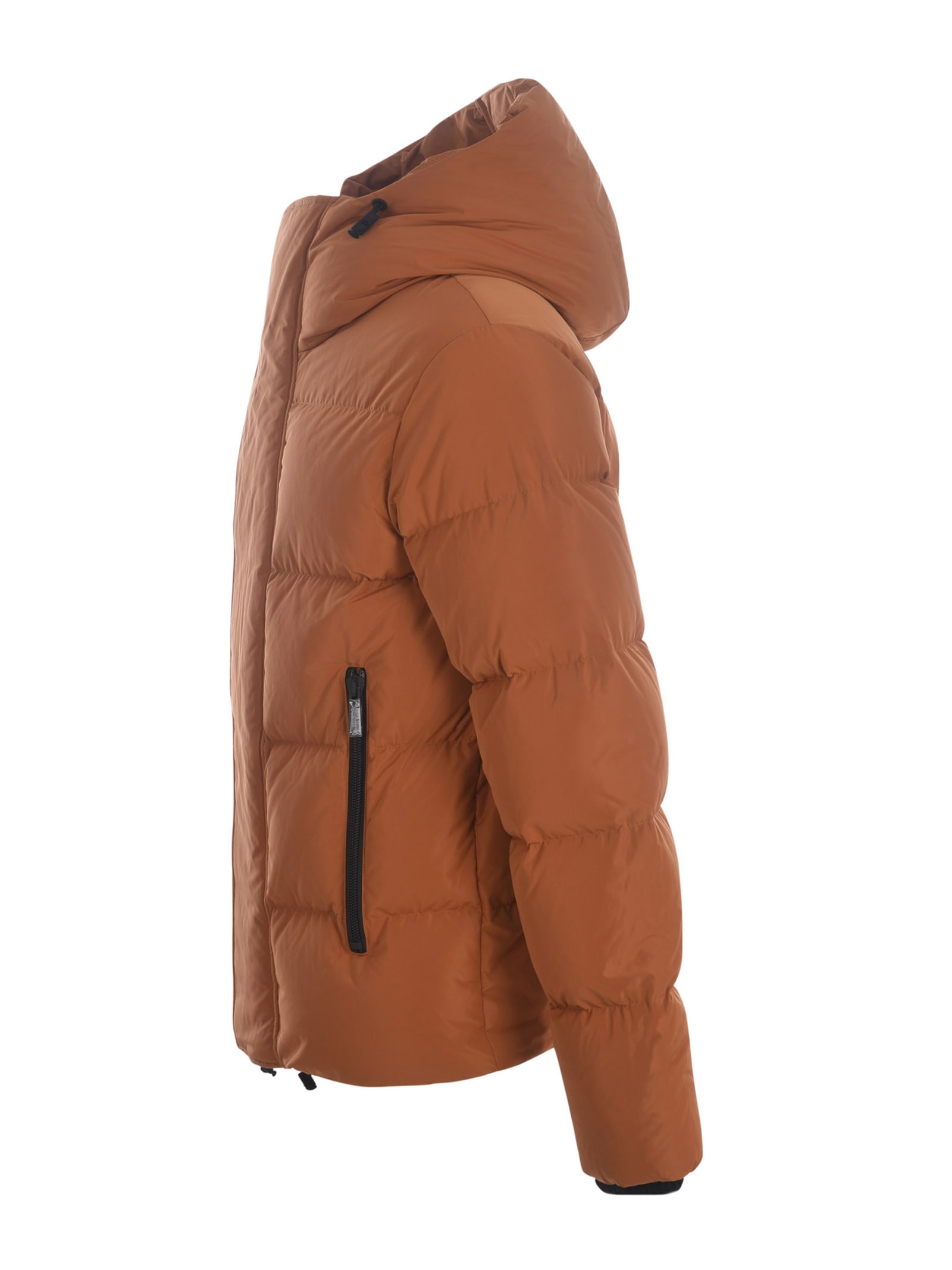 Shop Dsquared2 Down Jacket  In Nylon In Argilla