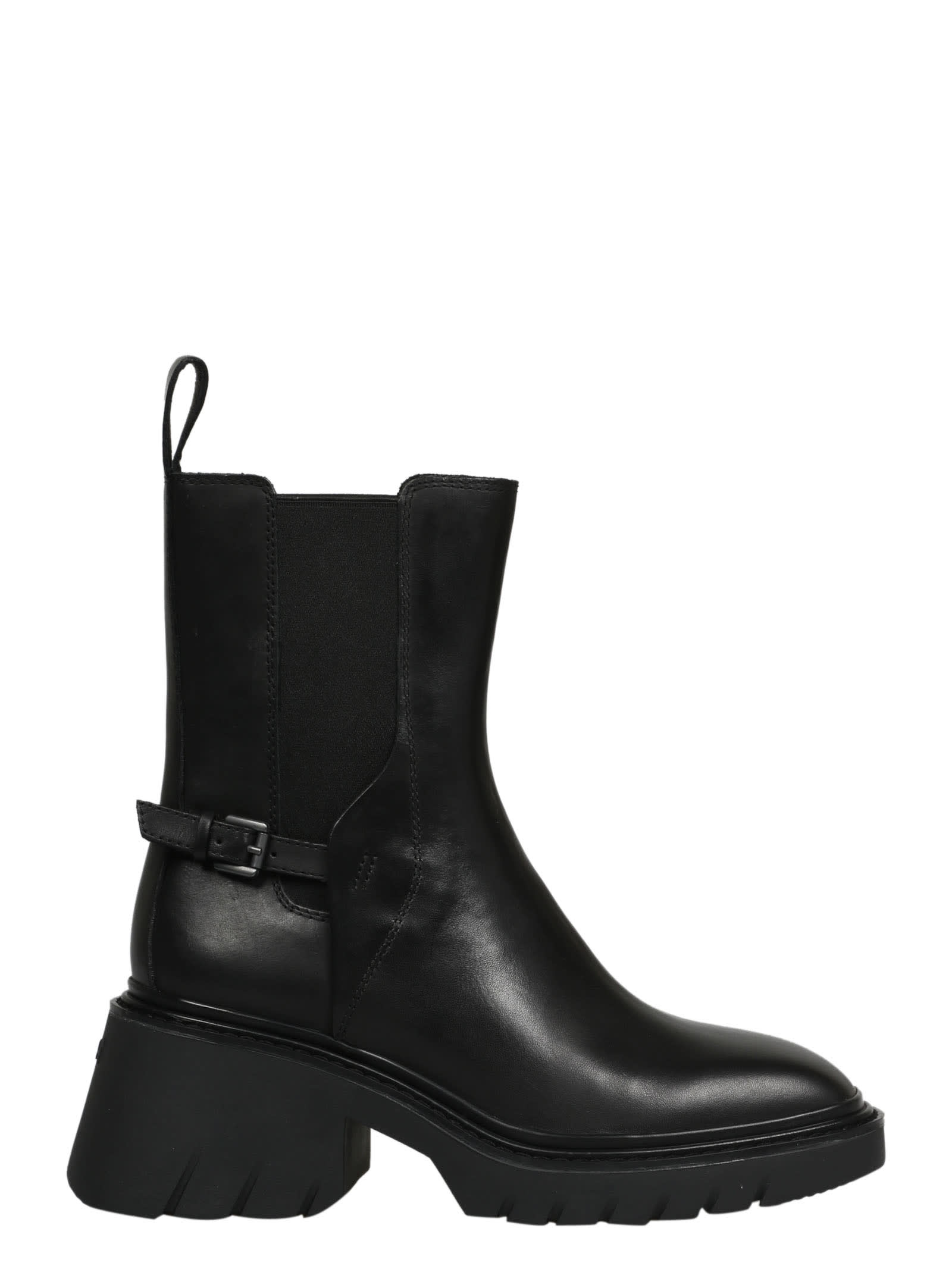 Ash Oxford Ankle Boots