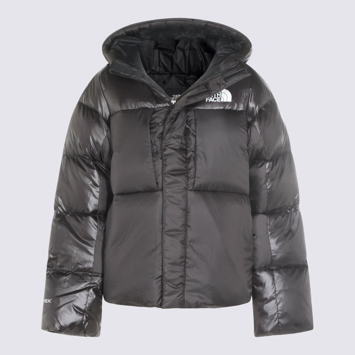 The North Face Coats Blacks And Greys In Gray