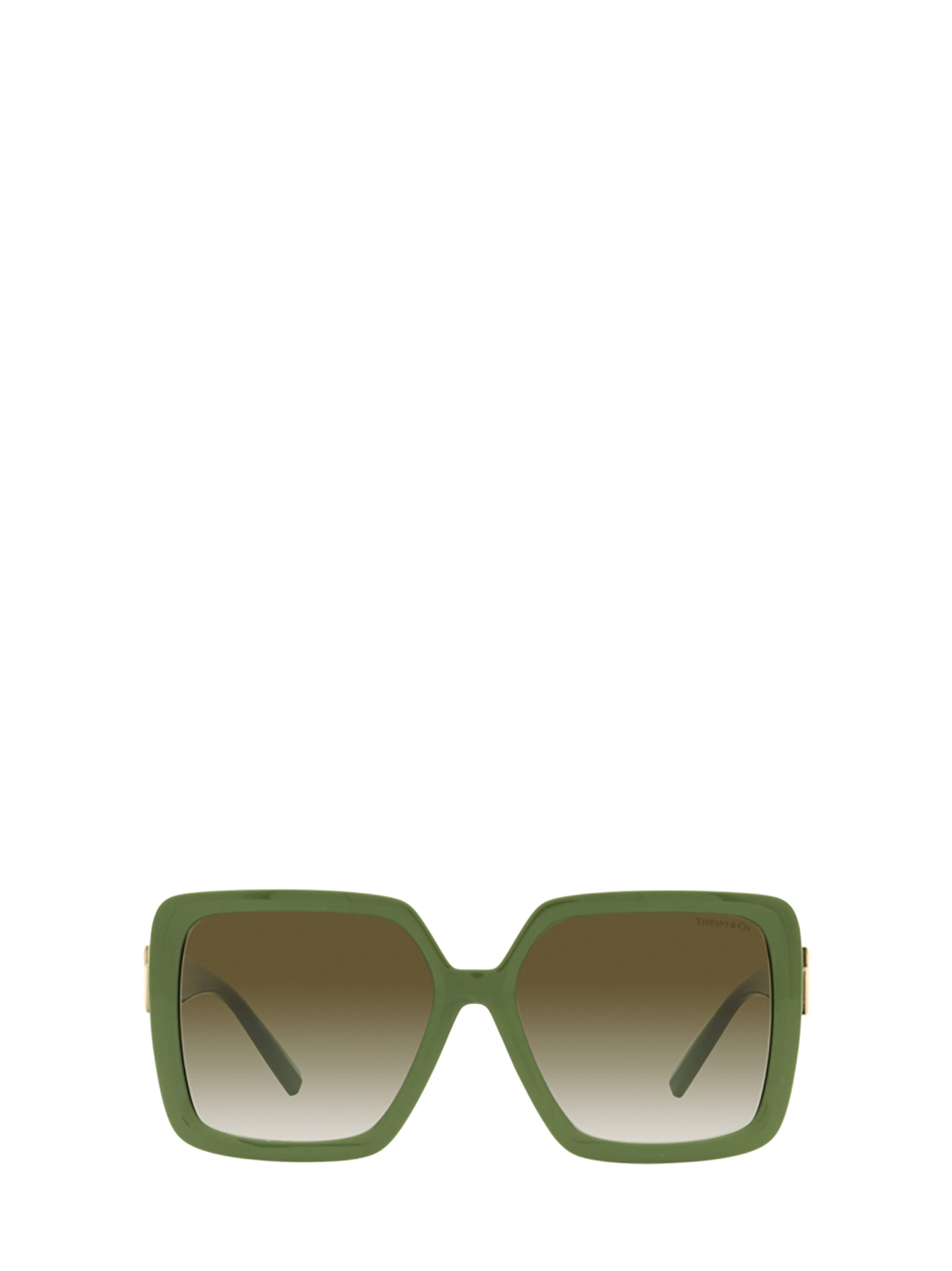 Tf4206u Khaki Sunglasses