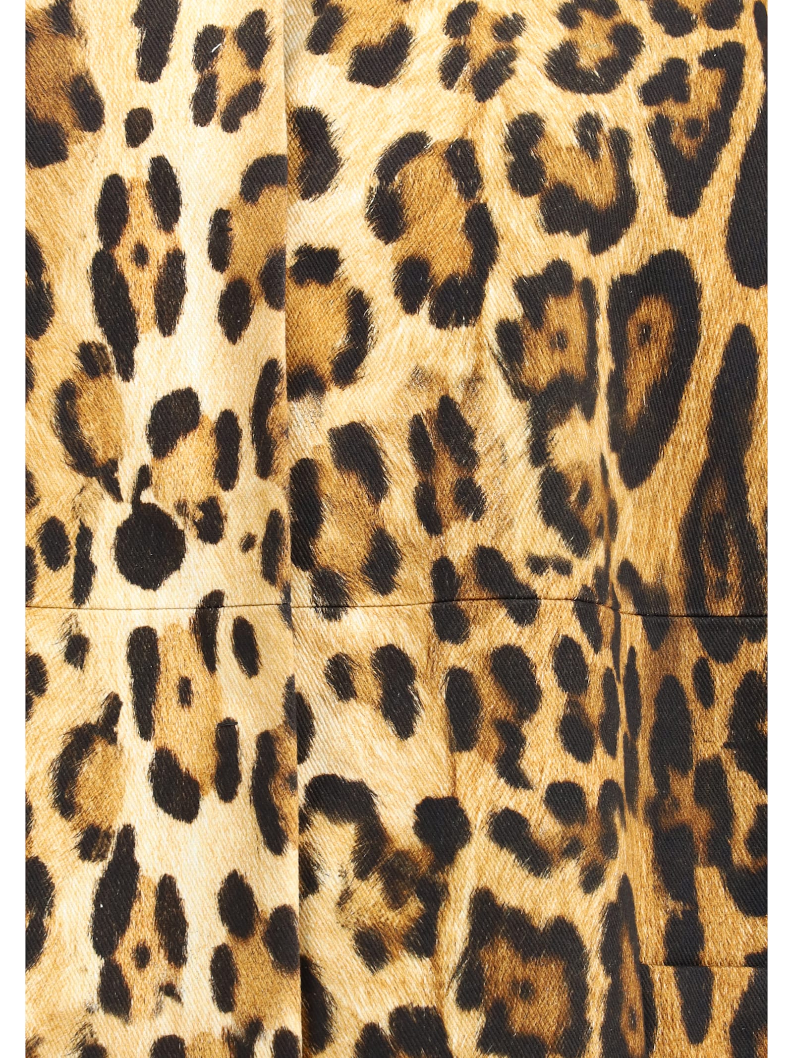 Prada Coat With Animal Print In Cacao