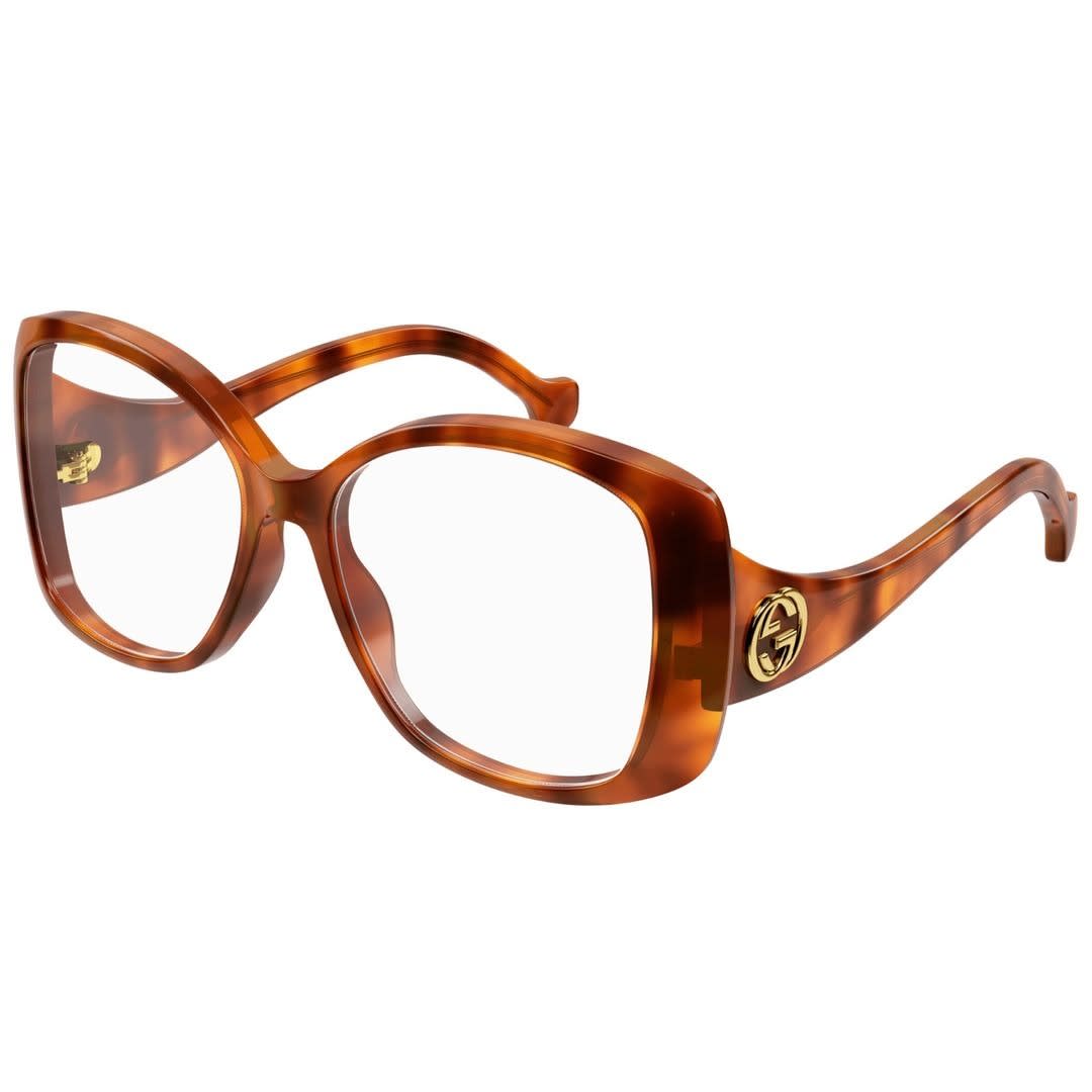 Gg1236o-002 Havana-havana-transparent