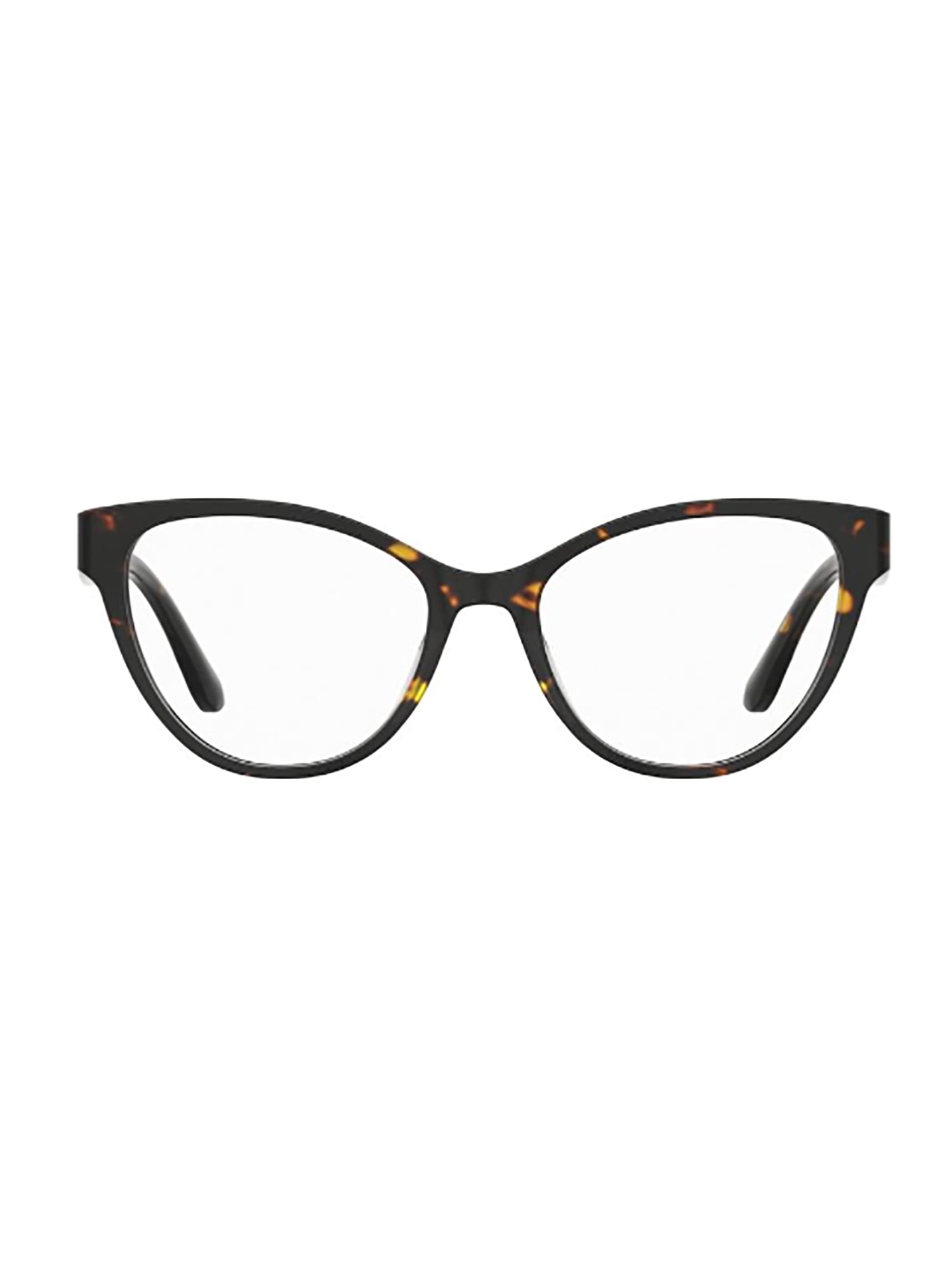 Pierre Cardin P.c. 8533 Eyewear In Brown