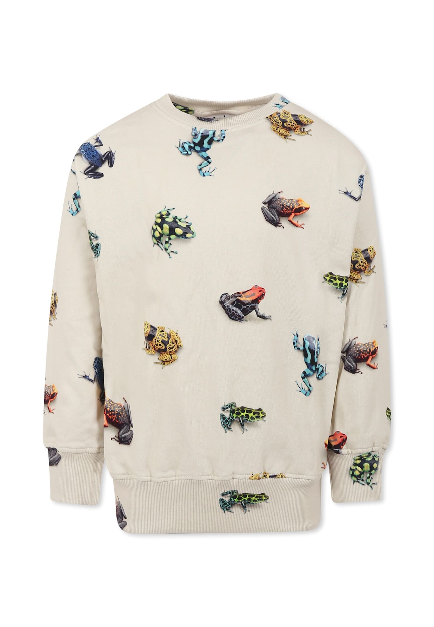 Molo Ivory Sweatshirt For Boy With Frog In Ivory