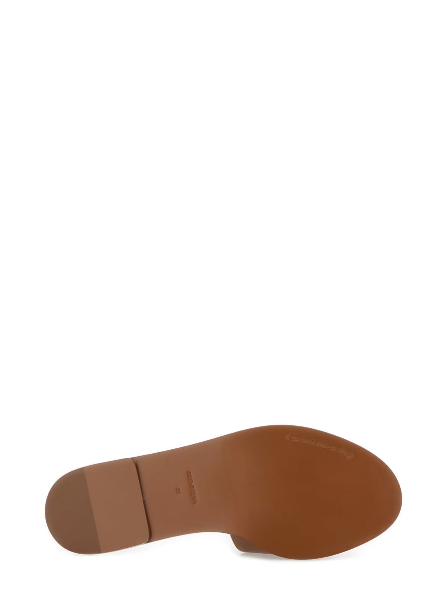 Dolce & Gabbana Women Camel Calf Leather Bianca Slides In Multi