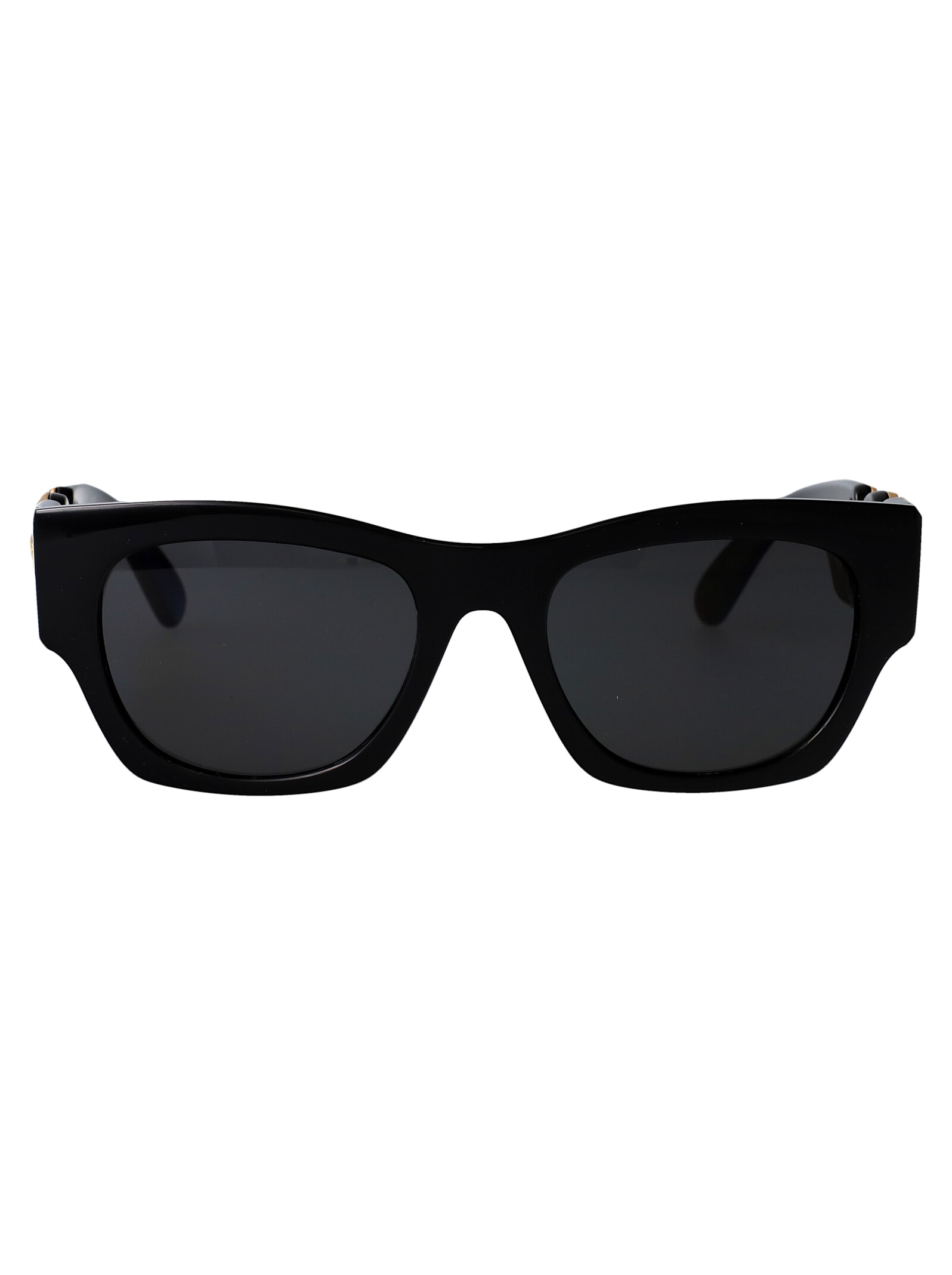 0ve4479u Sunglasses