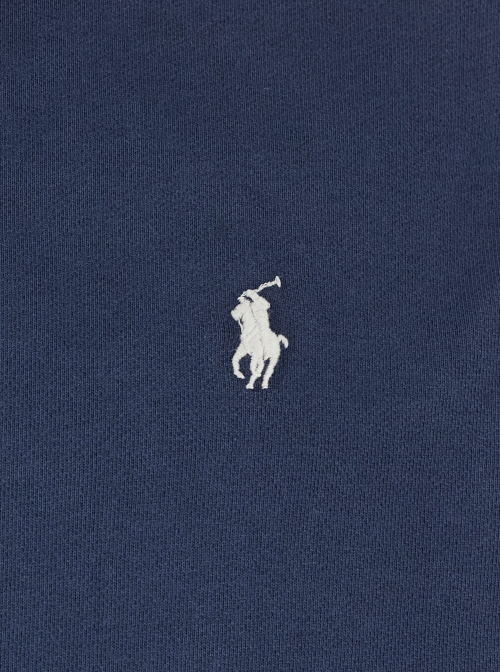 Shop Polo Ralph Lauren Blue Hoodie With Pony Embroidery In Cotton Man