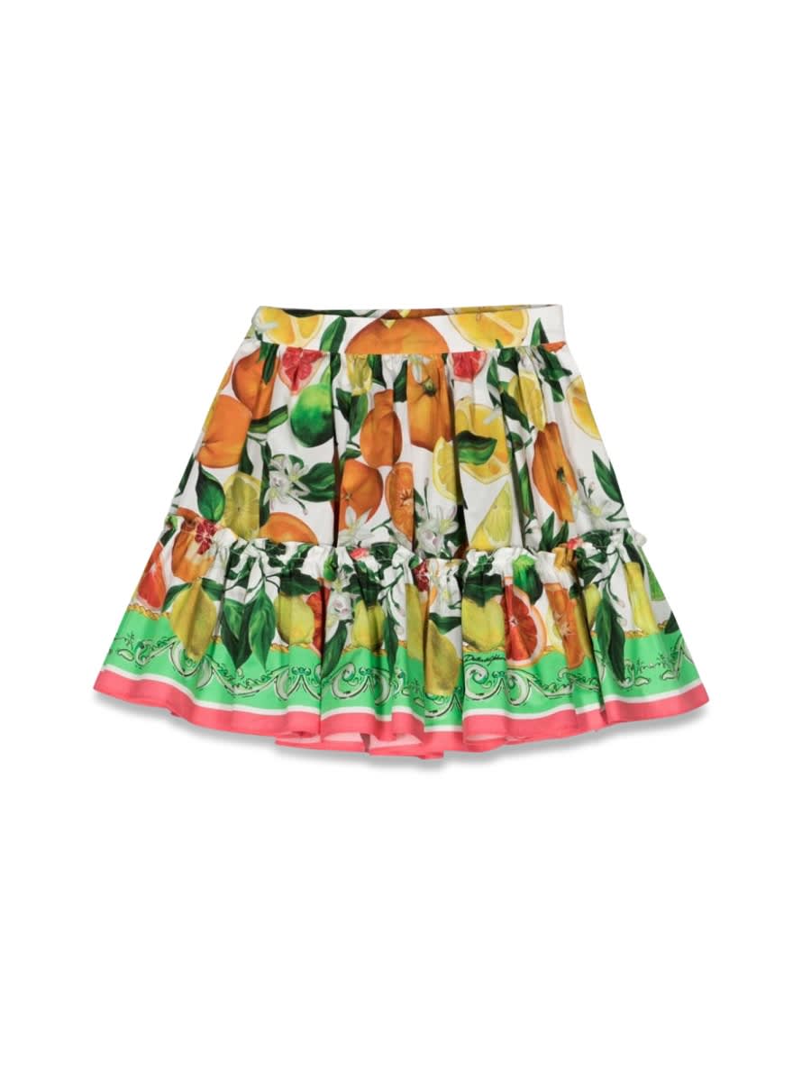 Shop Dolce & Gabbana Skirt In Multicolour