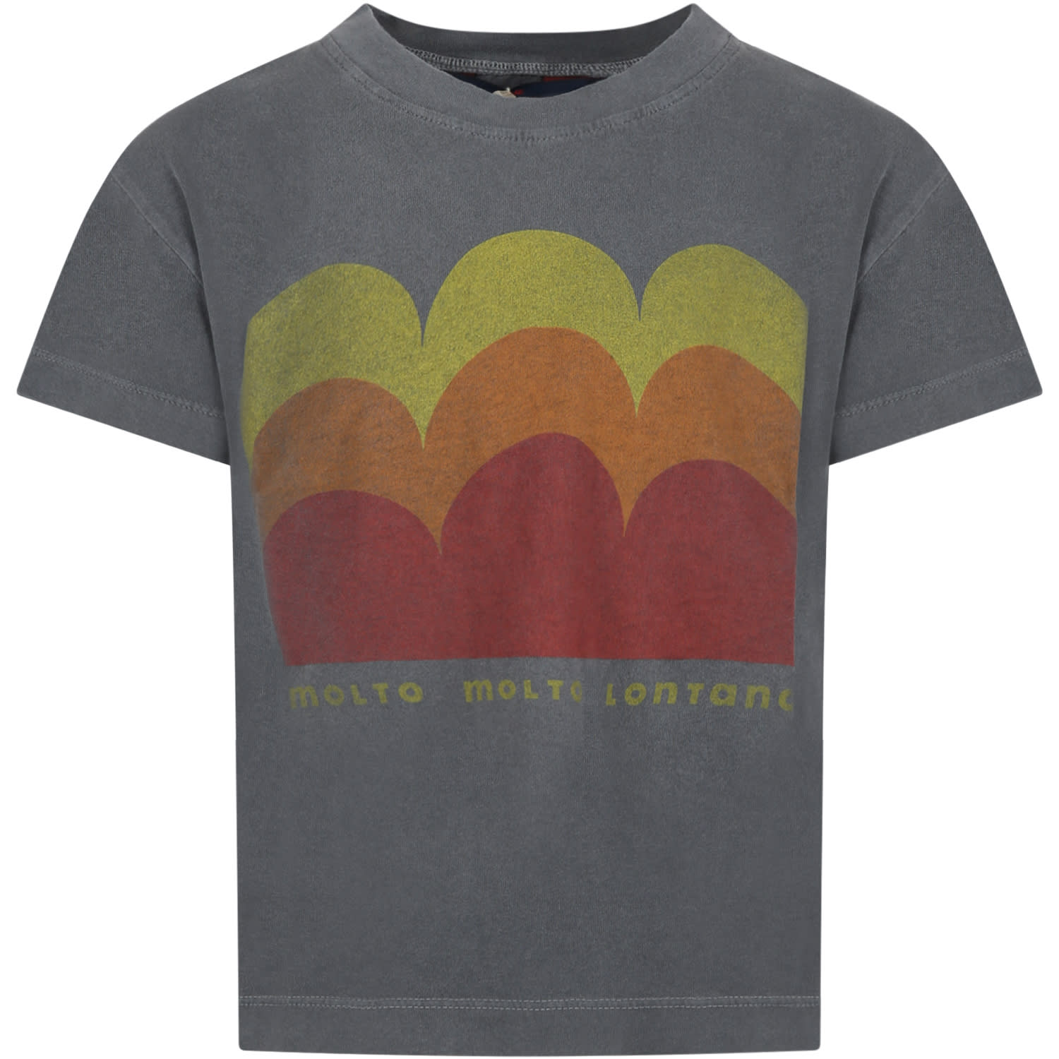 The Animals Observatory Gray T-shirt For Kids