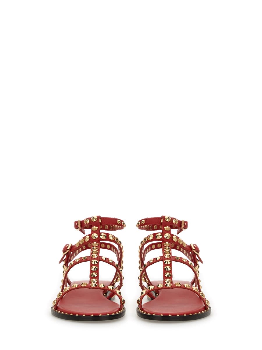 Ash Sandal Precious In Red