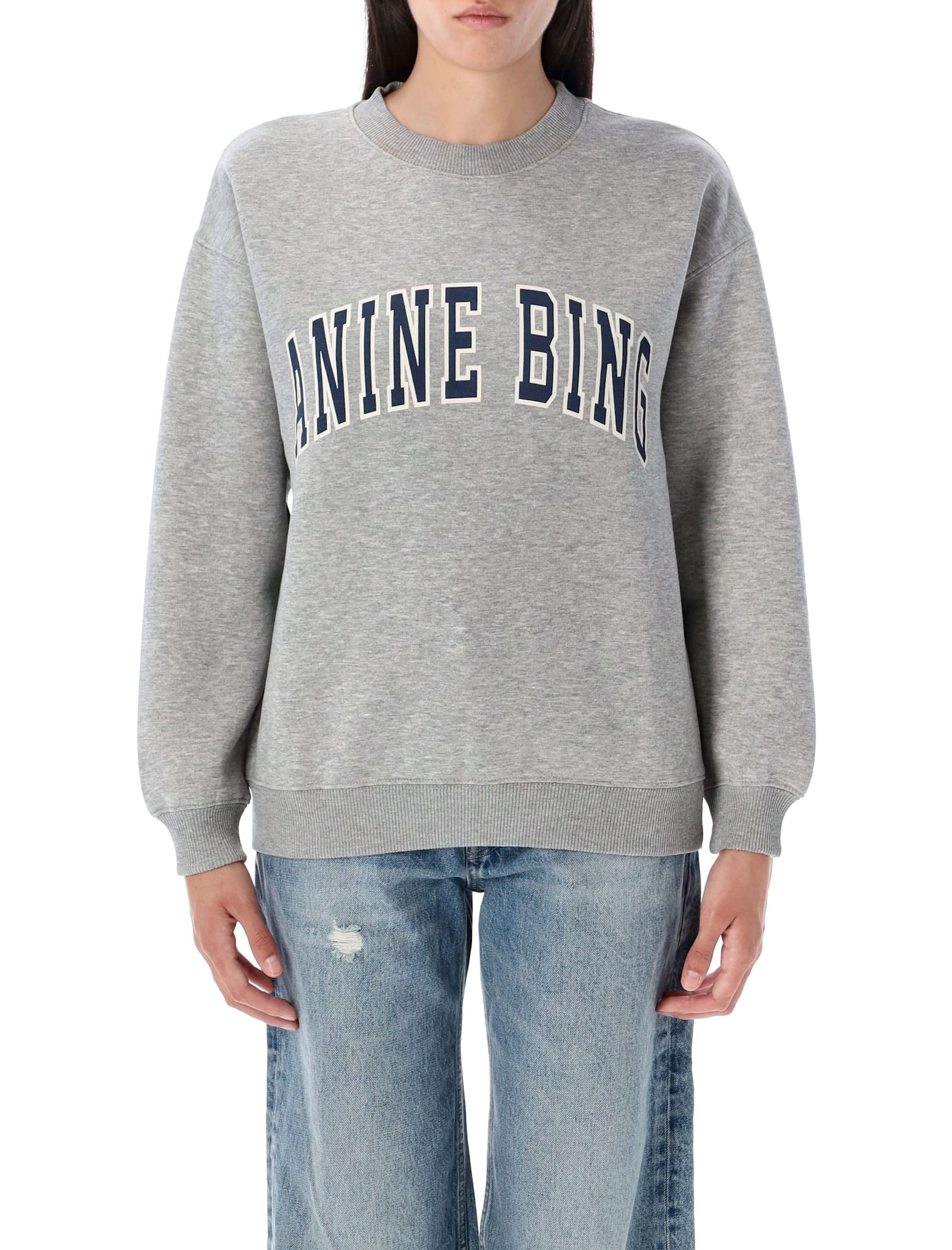 Anine Bing Spencer Sweatshirt In Gray