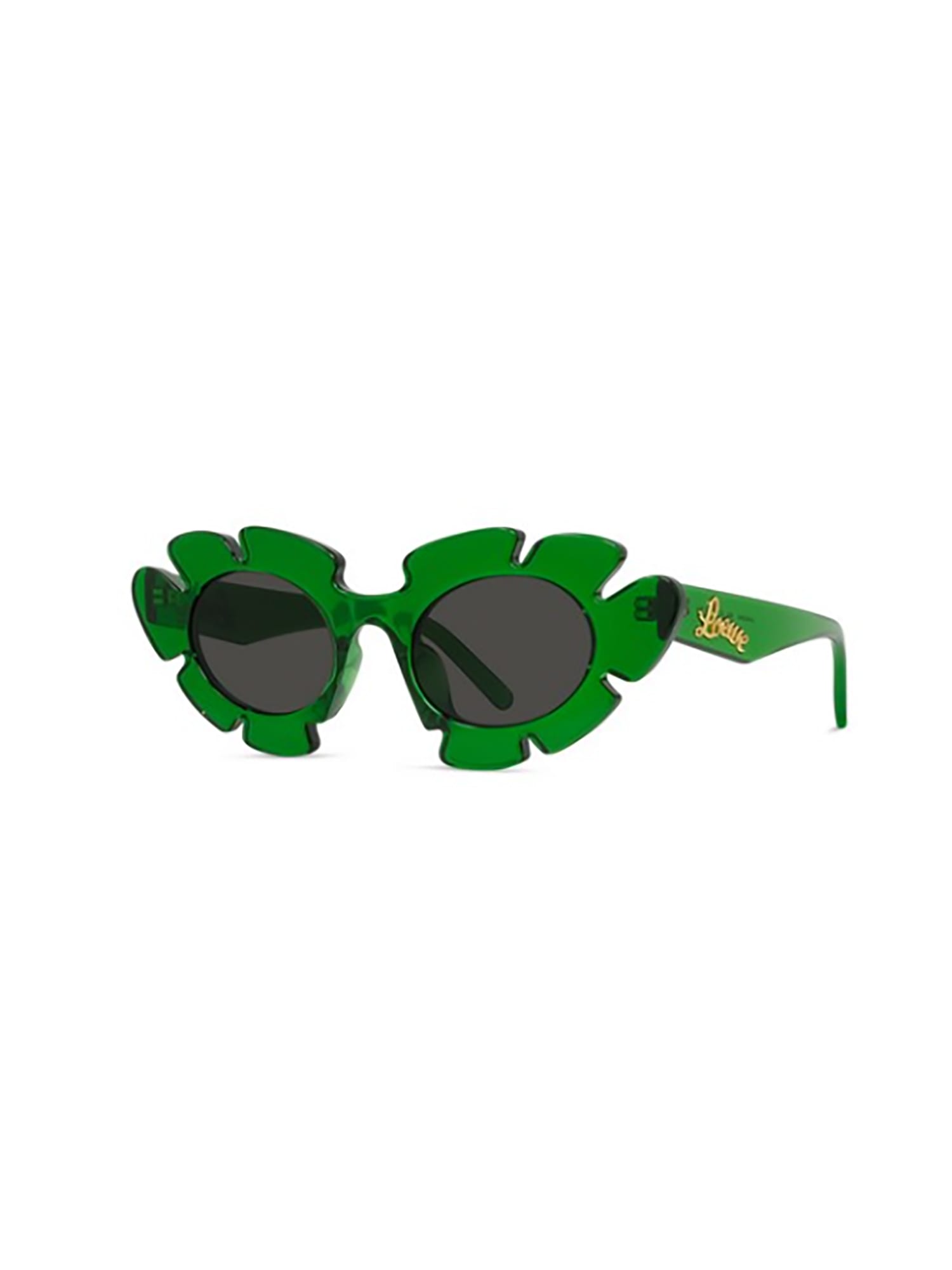 Loewe Curvy In Green