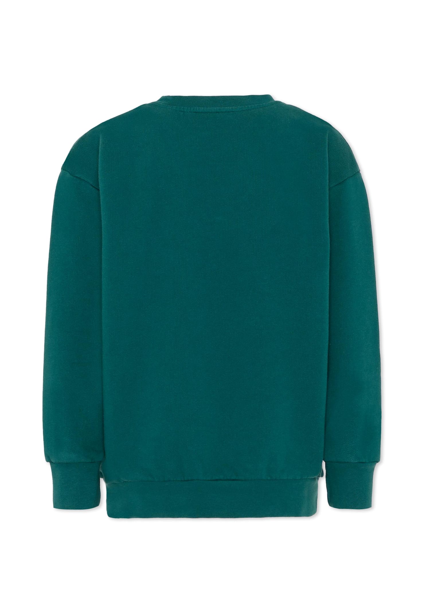 Etro Green Sweatshirt With Logo And Pegasus For Kids In Green