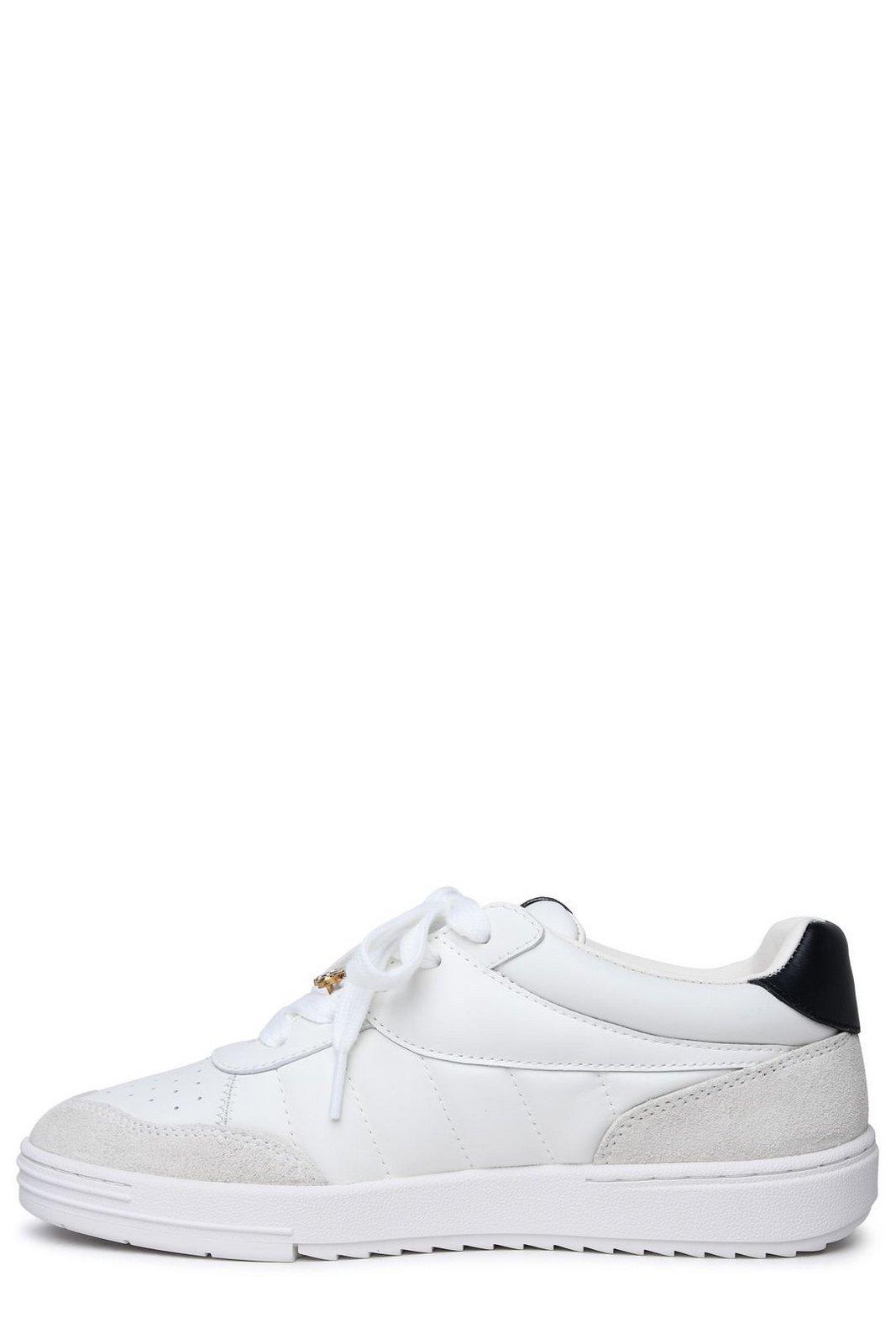 Shop Palm Angels Palm Beach University Low-top Sneakers In White/black