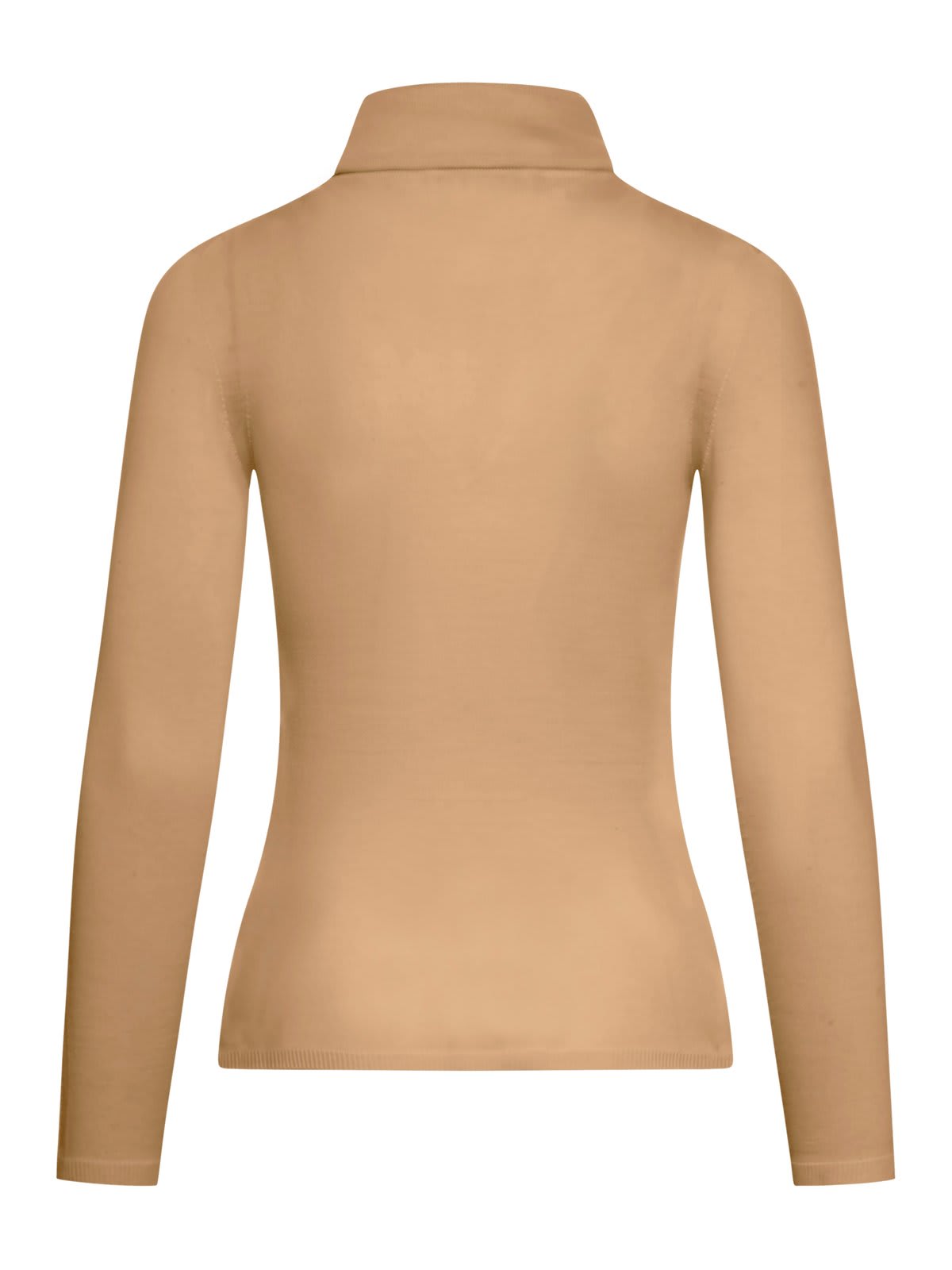 Shop Max Mara Turtleneck Knitted Top In Camel