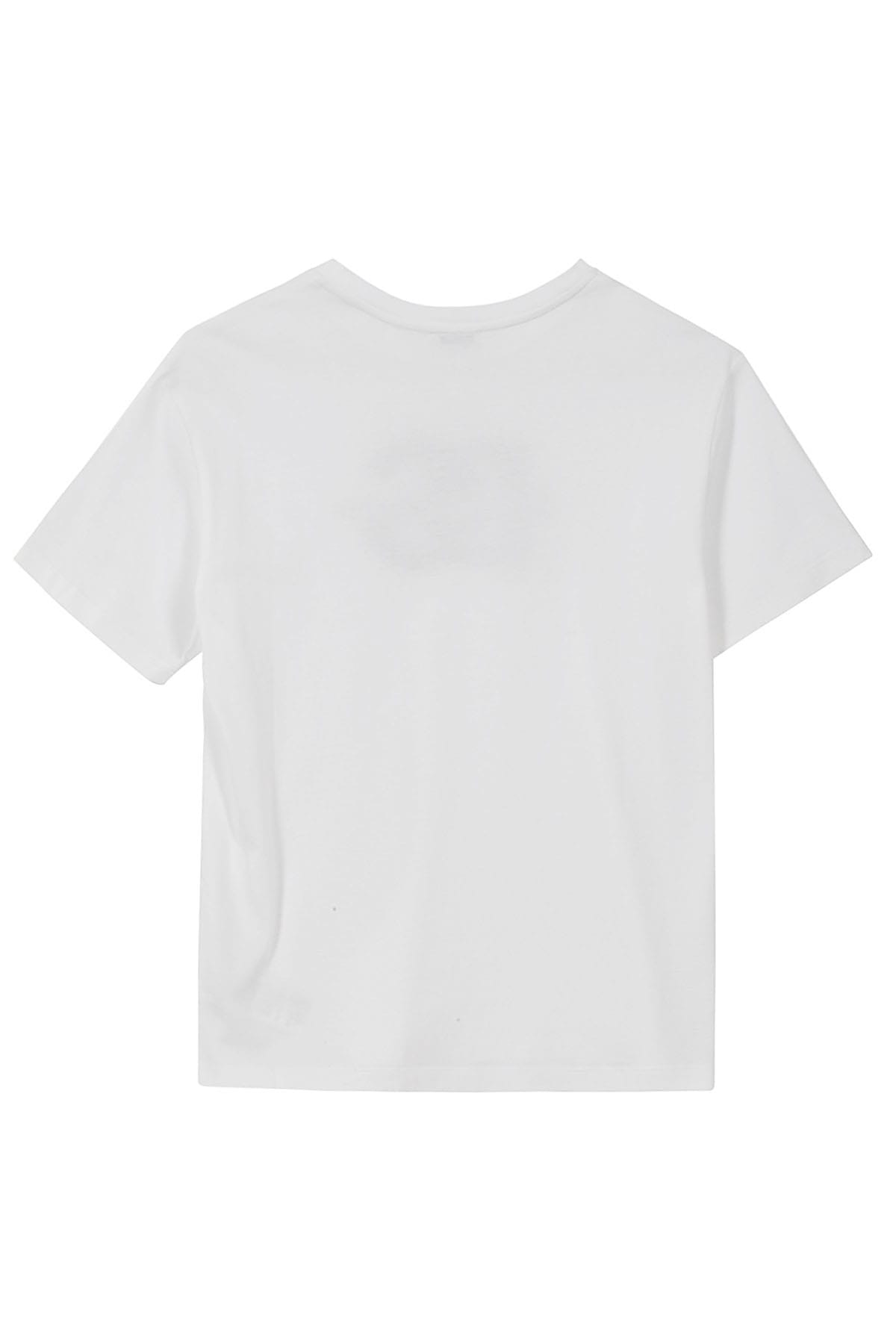 Shop Dolce & Gabbana T Shirt Manica Corta In Bianco Ottico