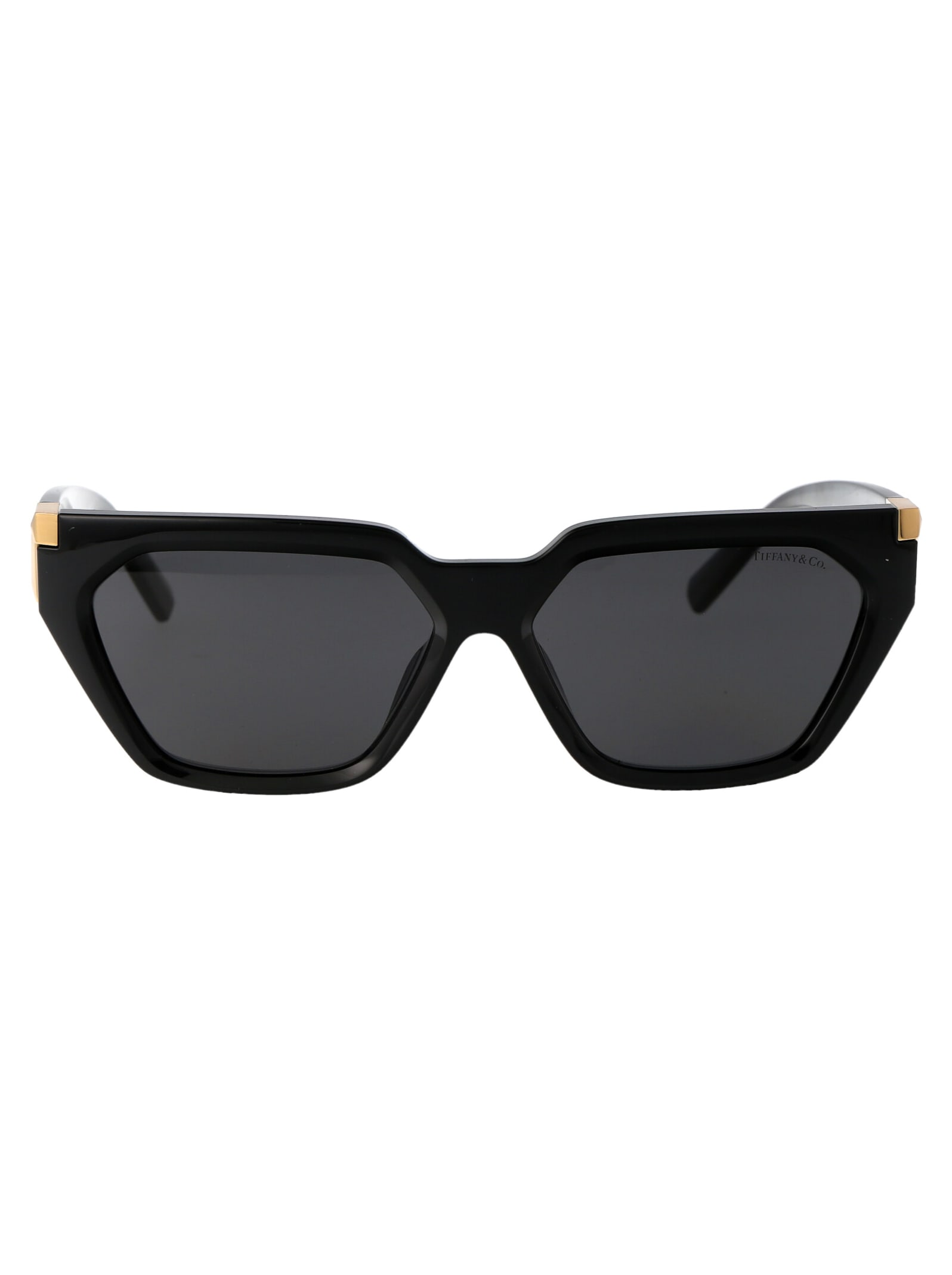 tiffany & co. 0tf4205u sunglasses