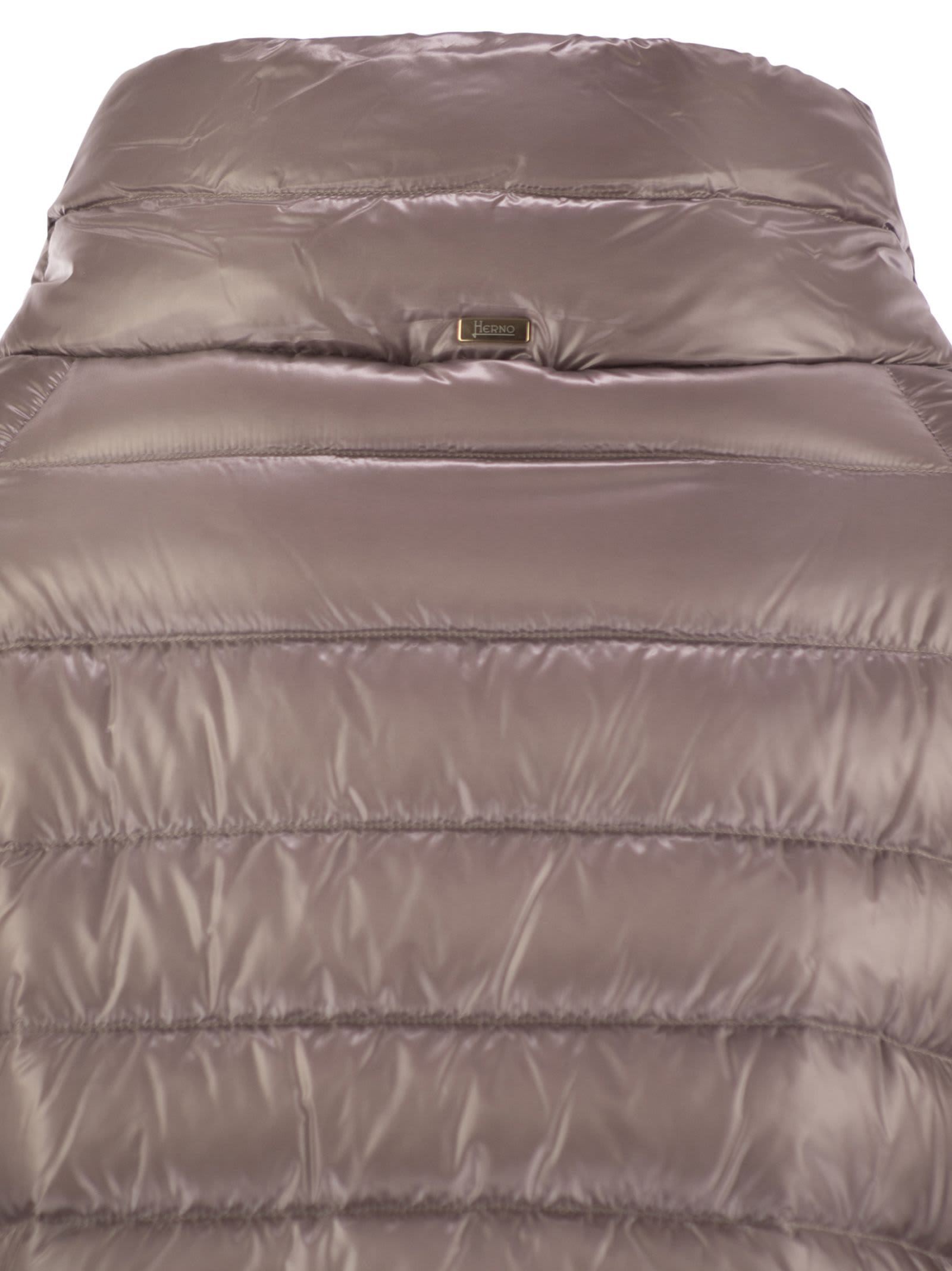 Herno Sofia Down Jacket In Brown