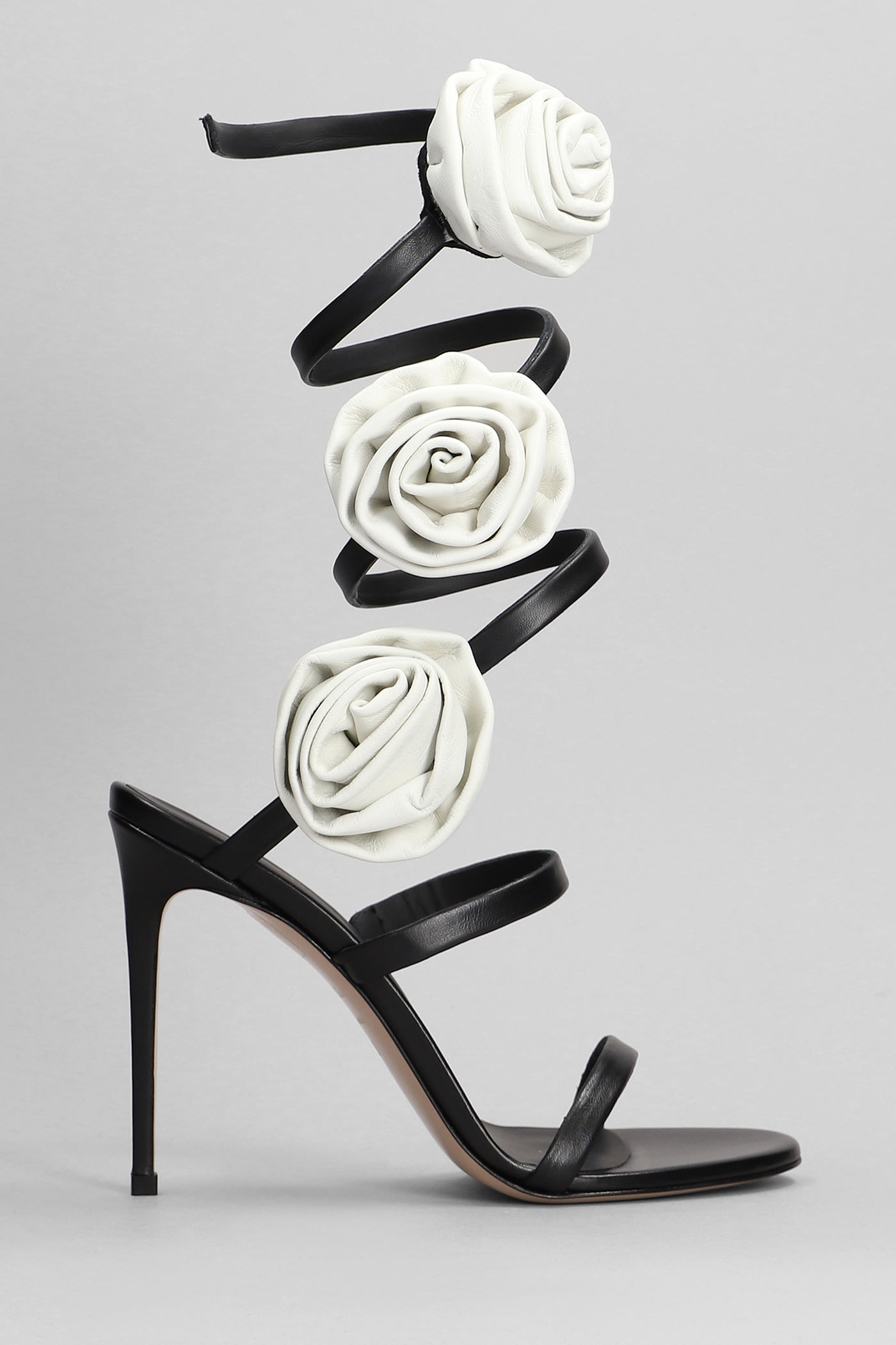 Le Silla Rose Sandals In Black Leather