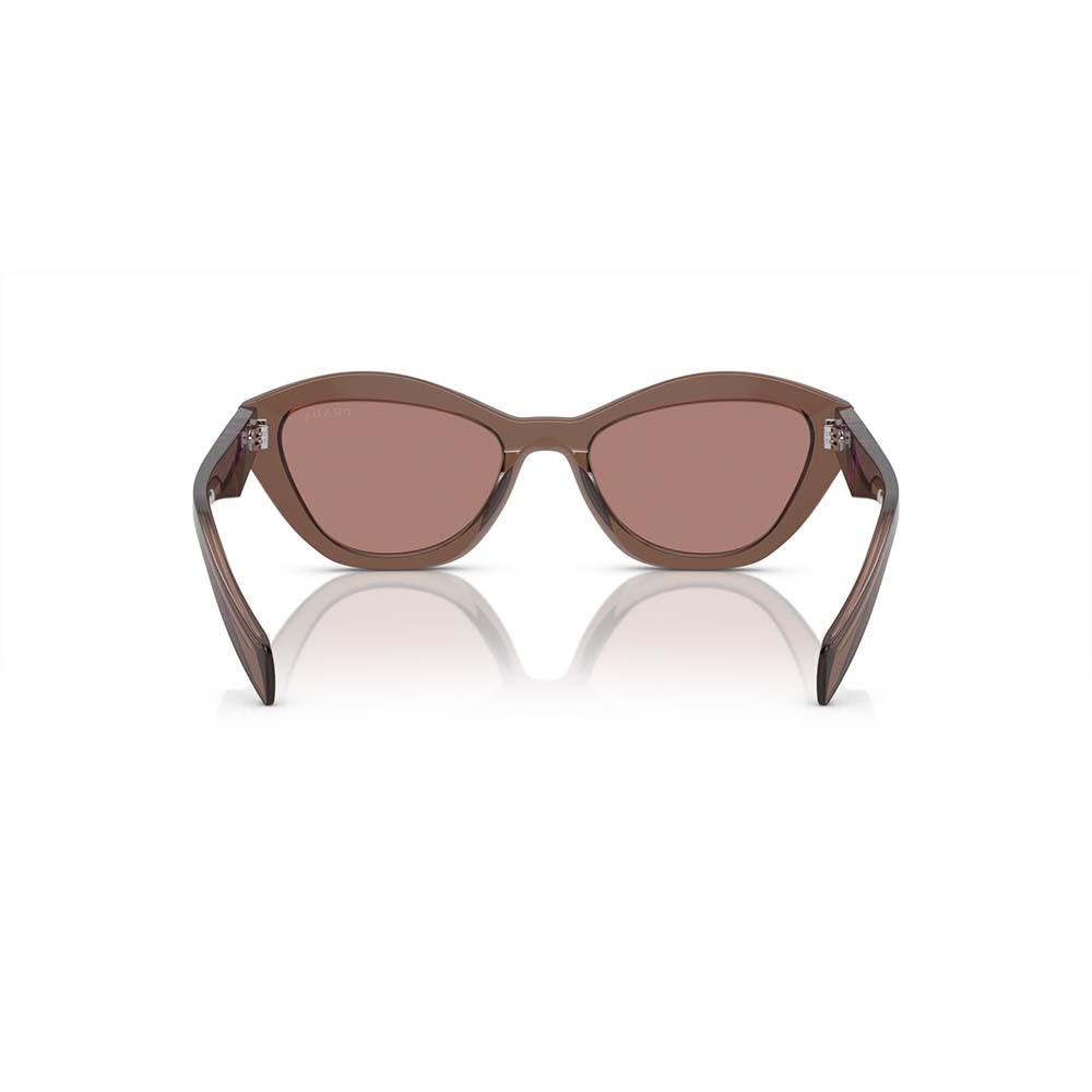 Shop Prada Sunglasses In Marrone Trasparente/marrone Chiaro