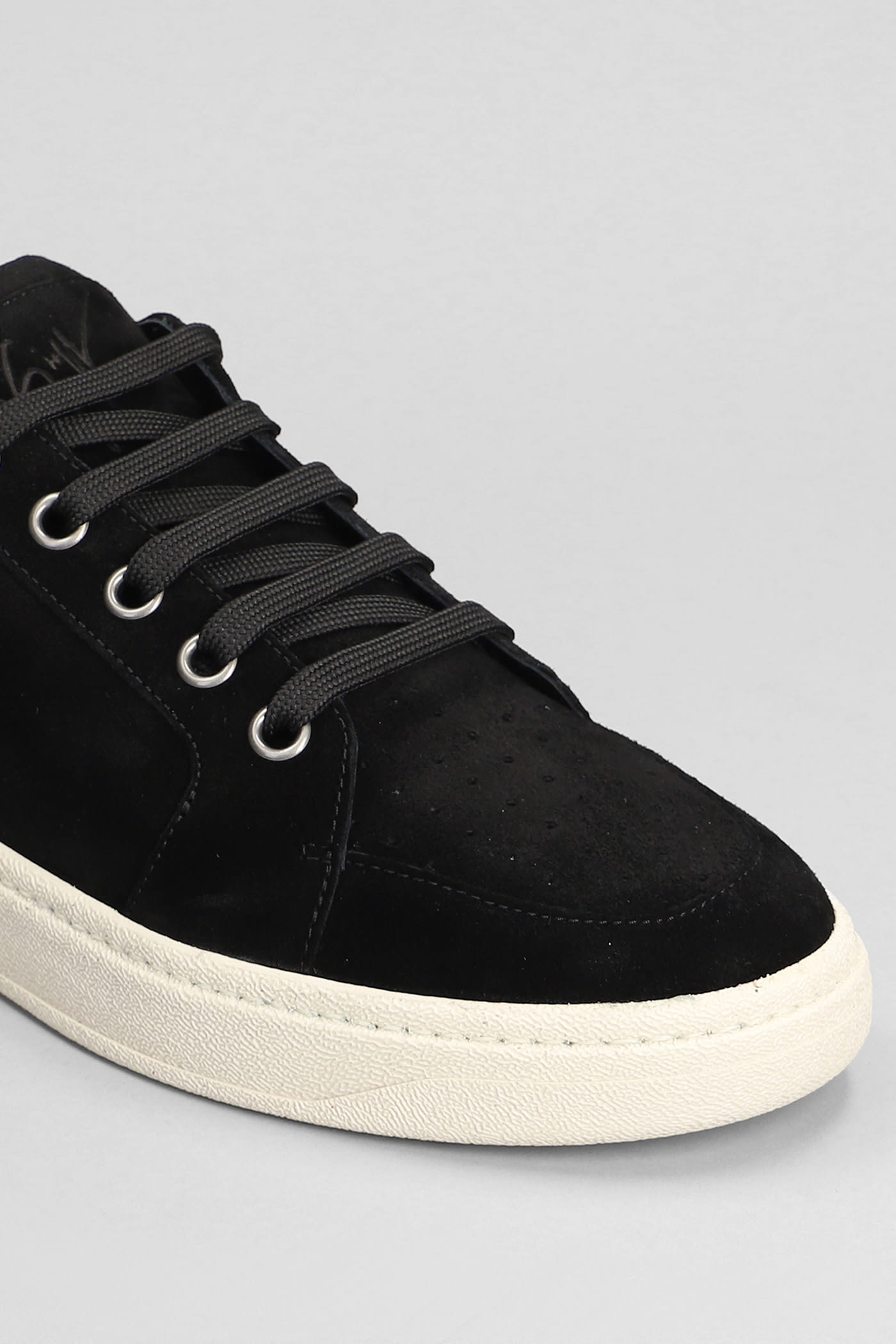 Shop Giuseppe Zanotti Gz95 Sneakers In Black Suede