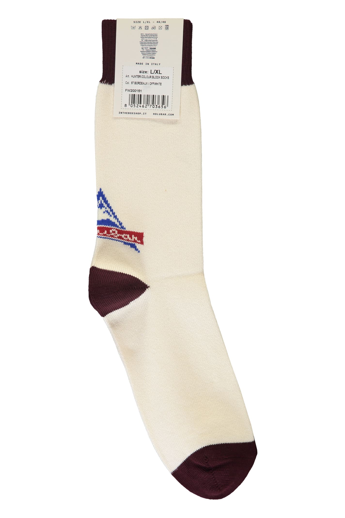 Shop Holubar Cotton Socks In White