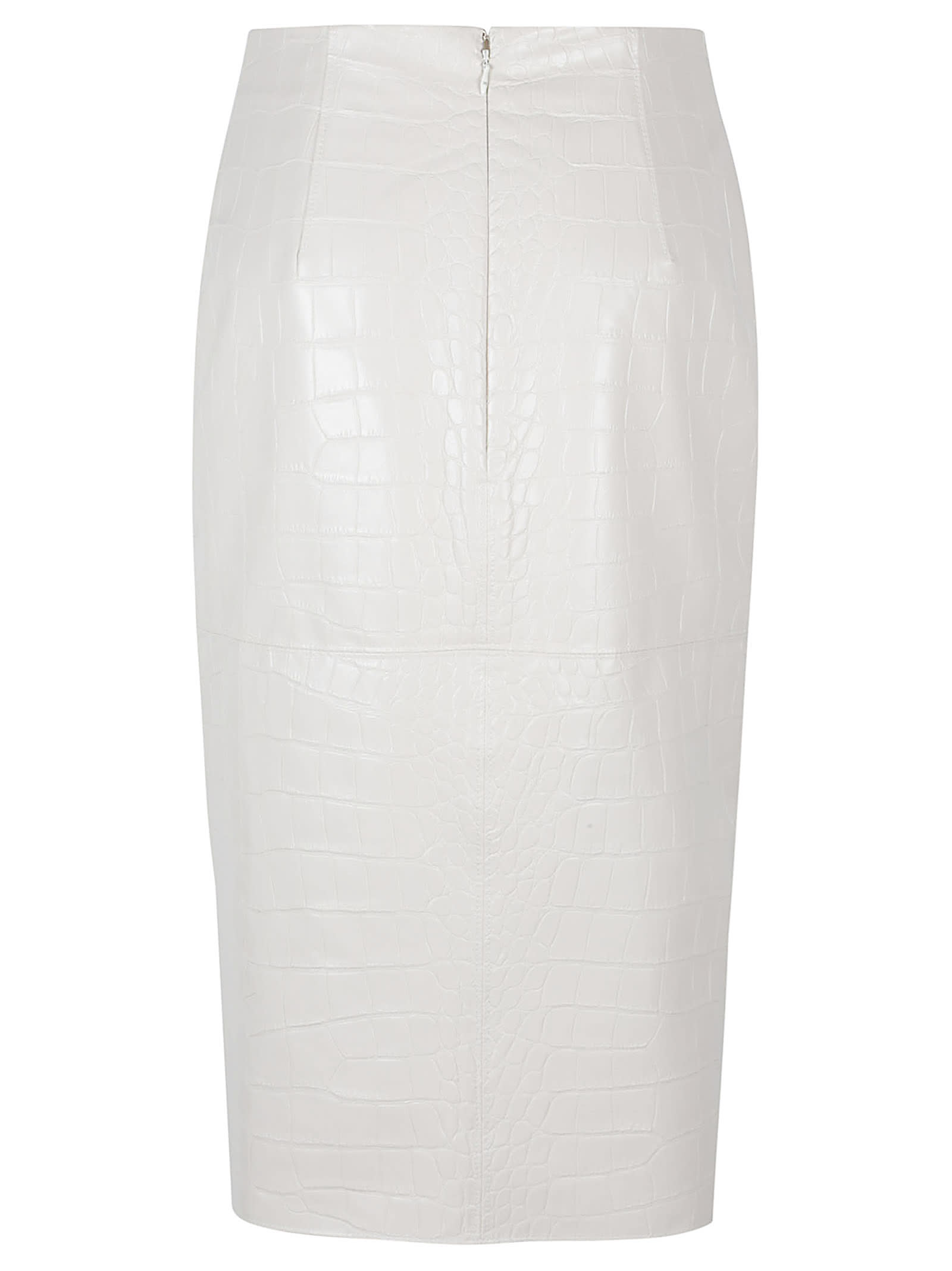 Elisabetta Franchi Skirt In White