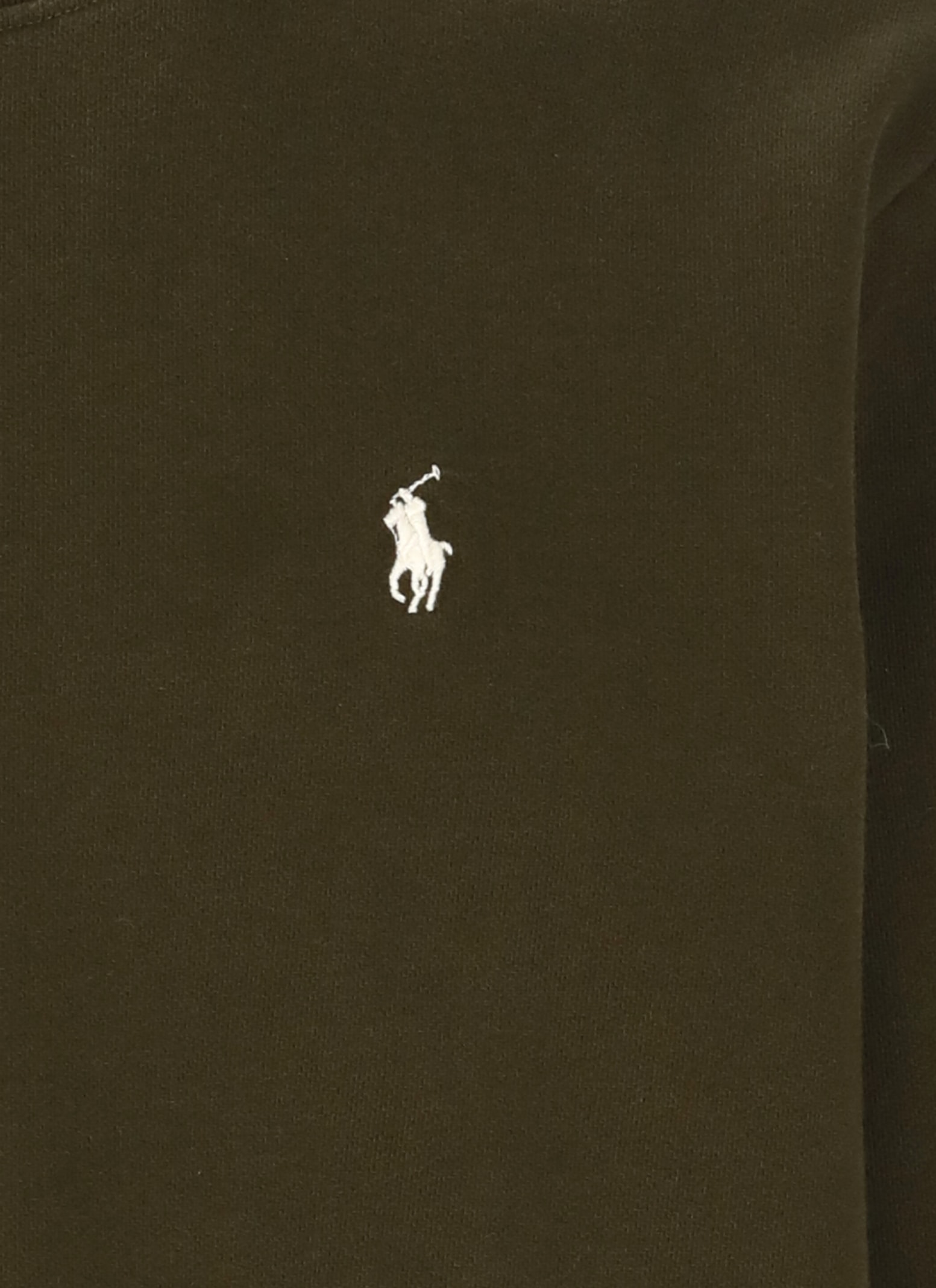 Shop Ralph Lauren Sweatshirt Pony In Green