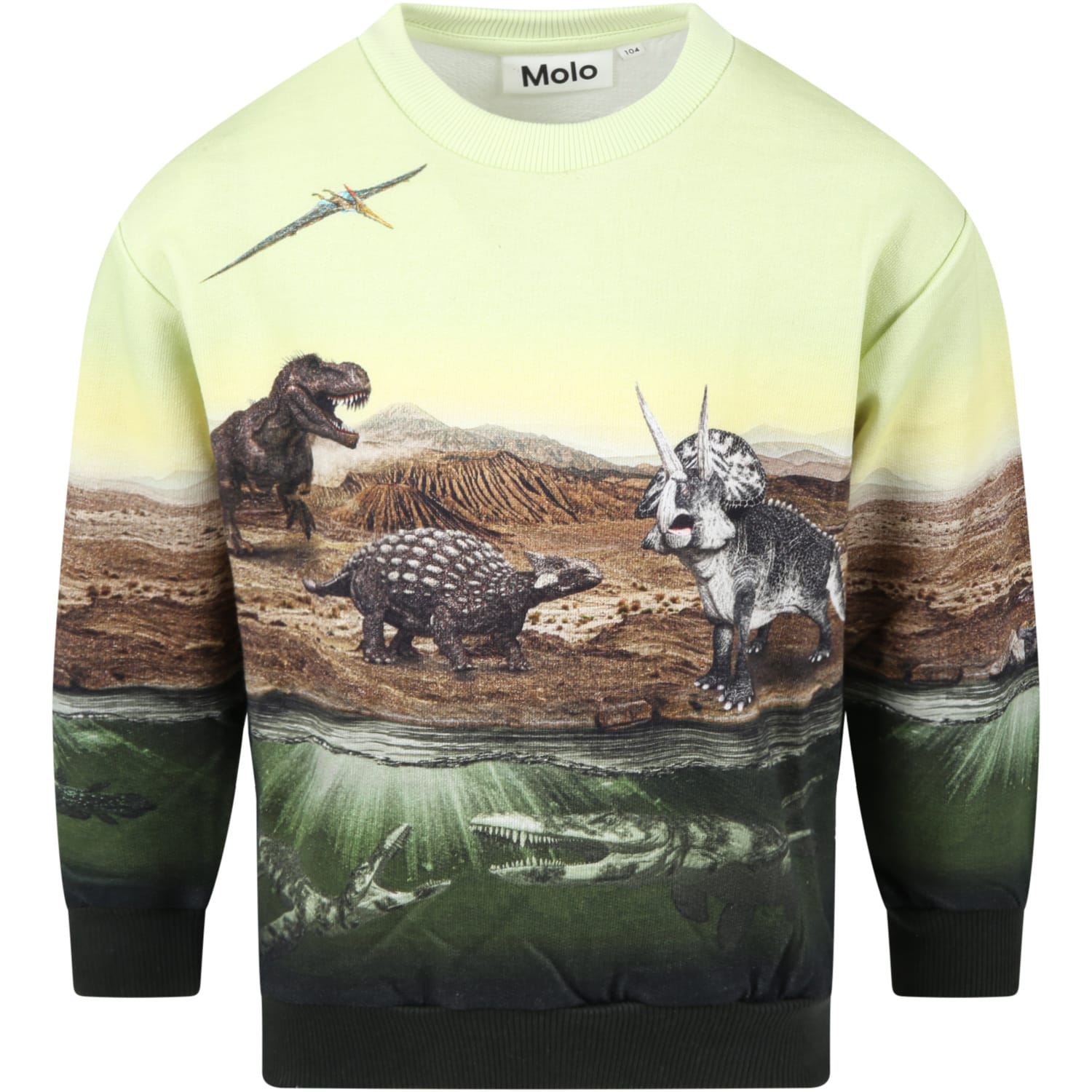 Molo Multicolr Sweatshirt For Boy With Dinosaurs