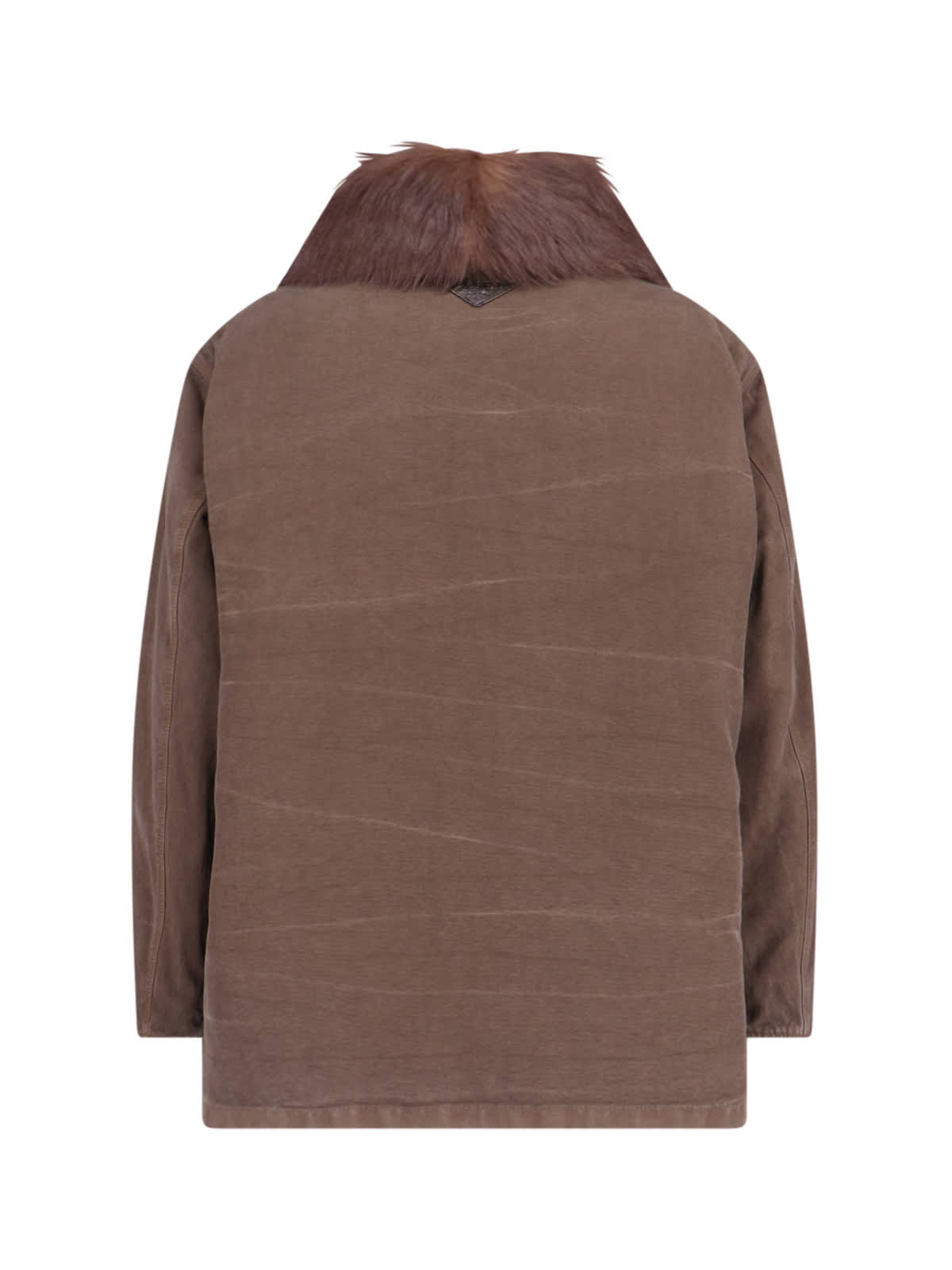 Prada Cotton Shearling-collar Jacket In Brown