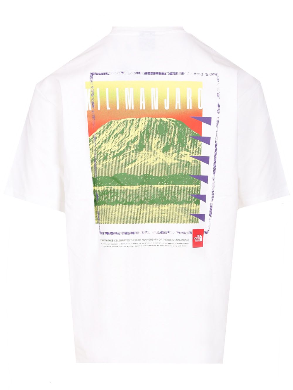 THE NORTH FACE OVERSIZED T-SHIRT