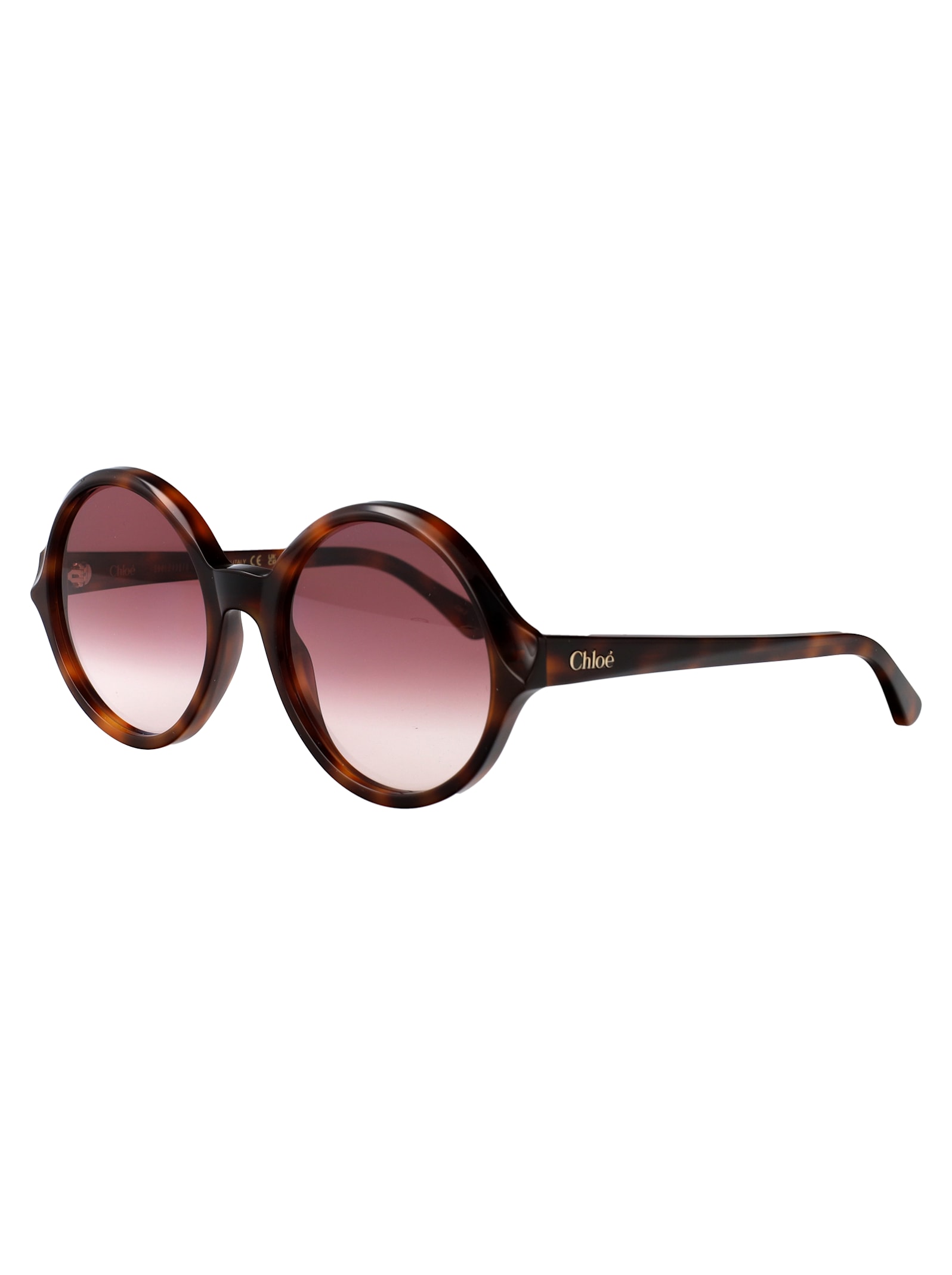 Chloé Ch0290s Sunglasses In Multi